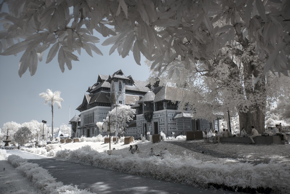 snow covered houses and trees during daytime
