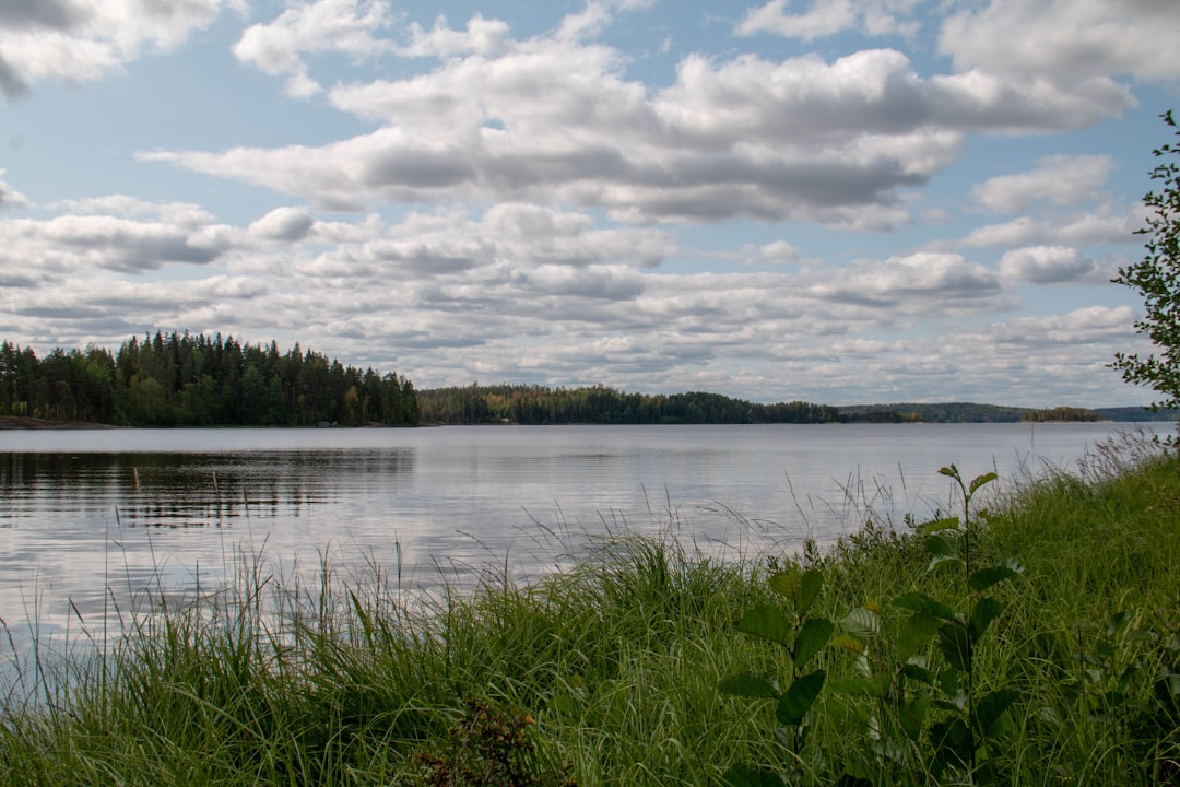 green grass near body of water under cloudy sky during daytime