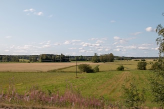 A vibrant rural landscape showing fields of cotton and grain under a bright sky.
