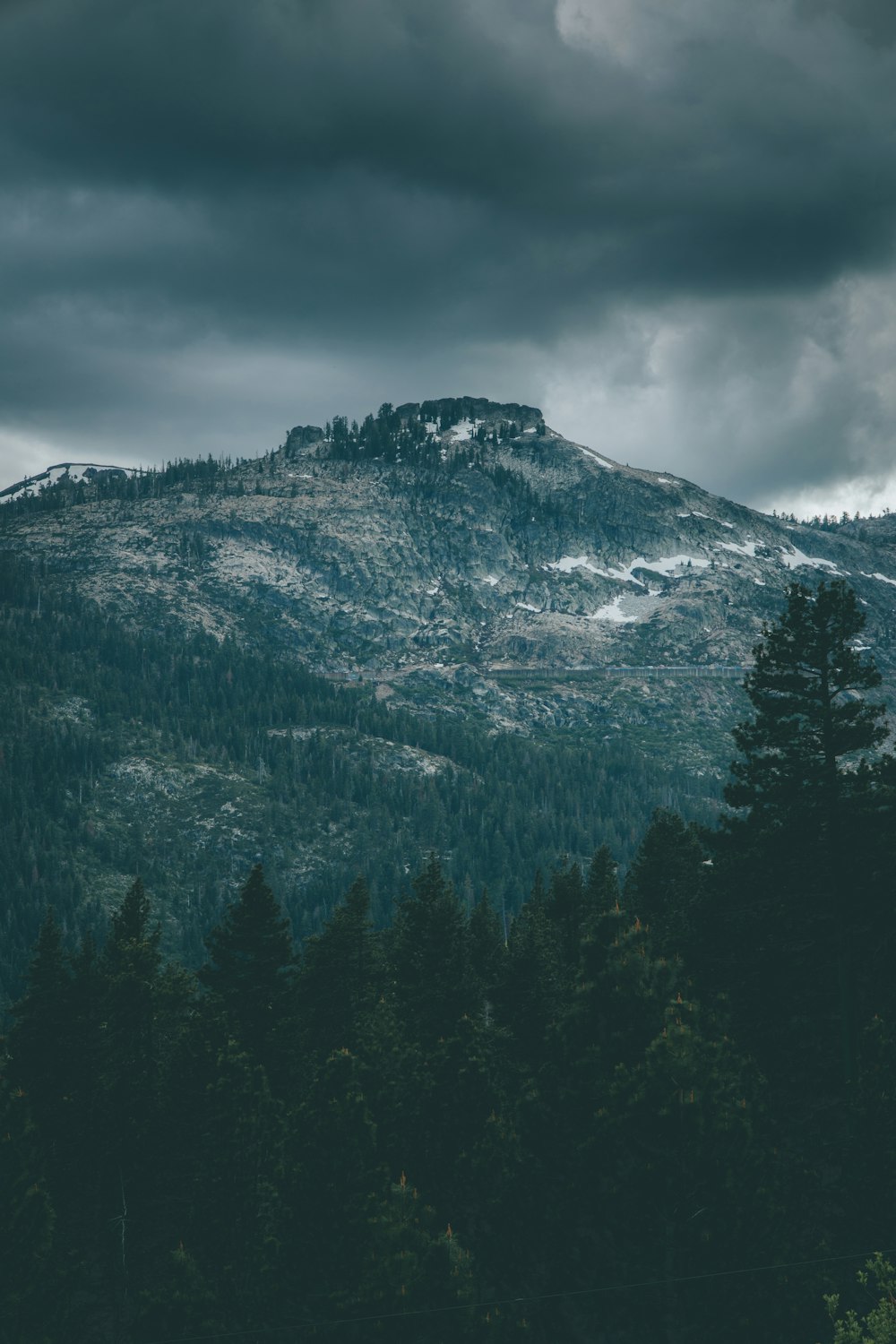 arbres verts sur la montagne sous ciel nuageux pendant la journée