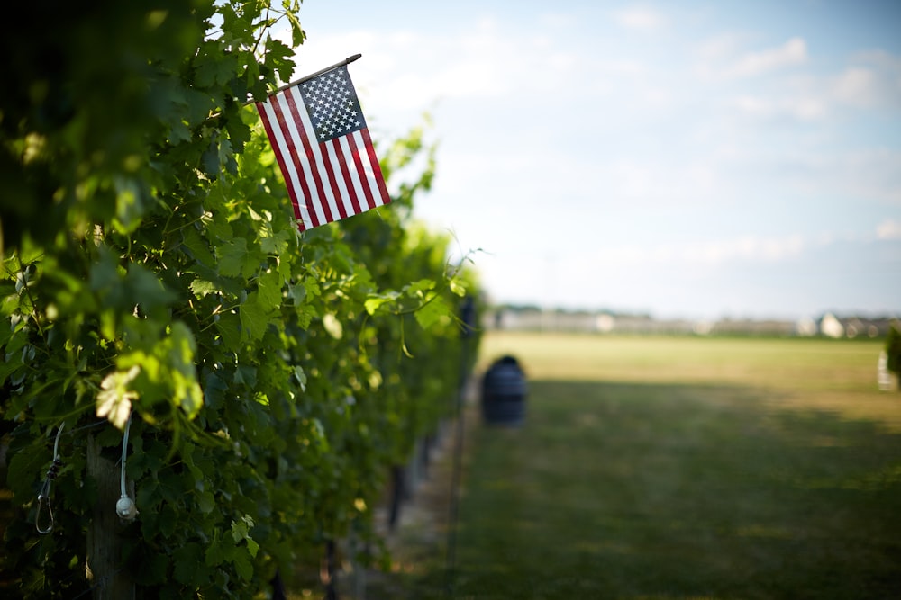 us a flag on green grass field during daytime