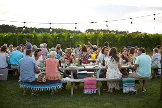 people sitting on green grass field during daytime
