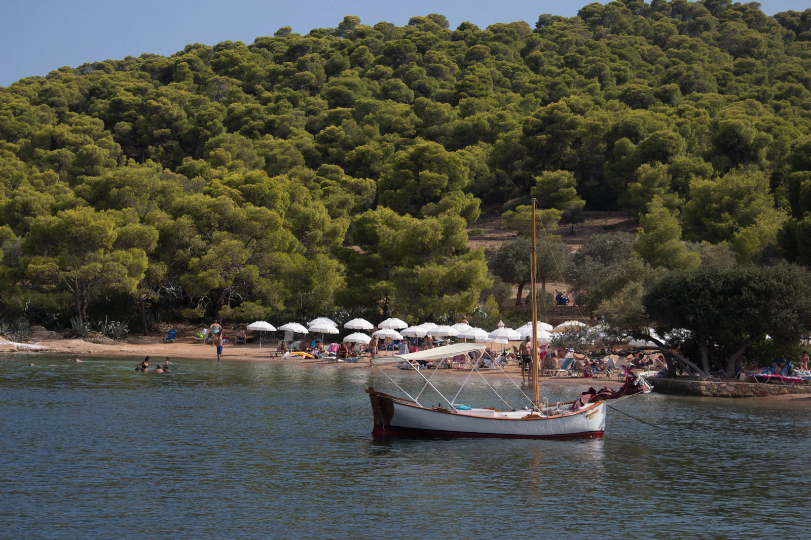 A wooden boat on calm water below the pines at Spetses
