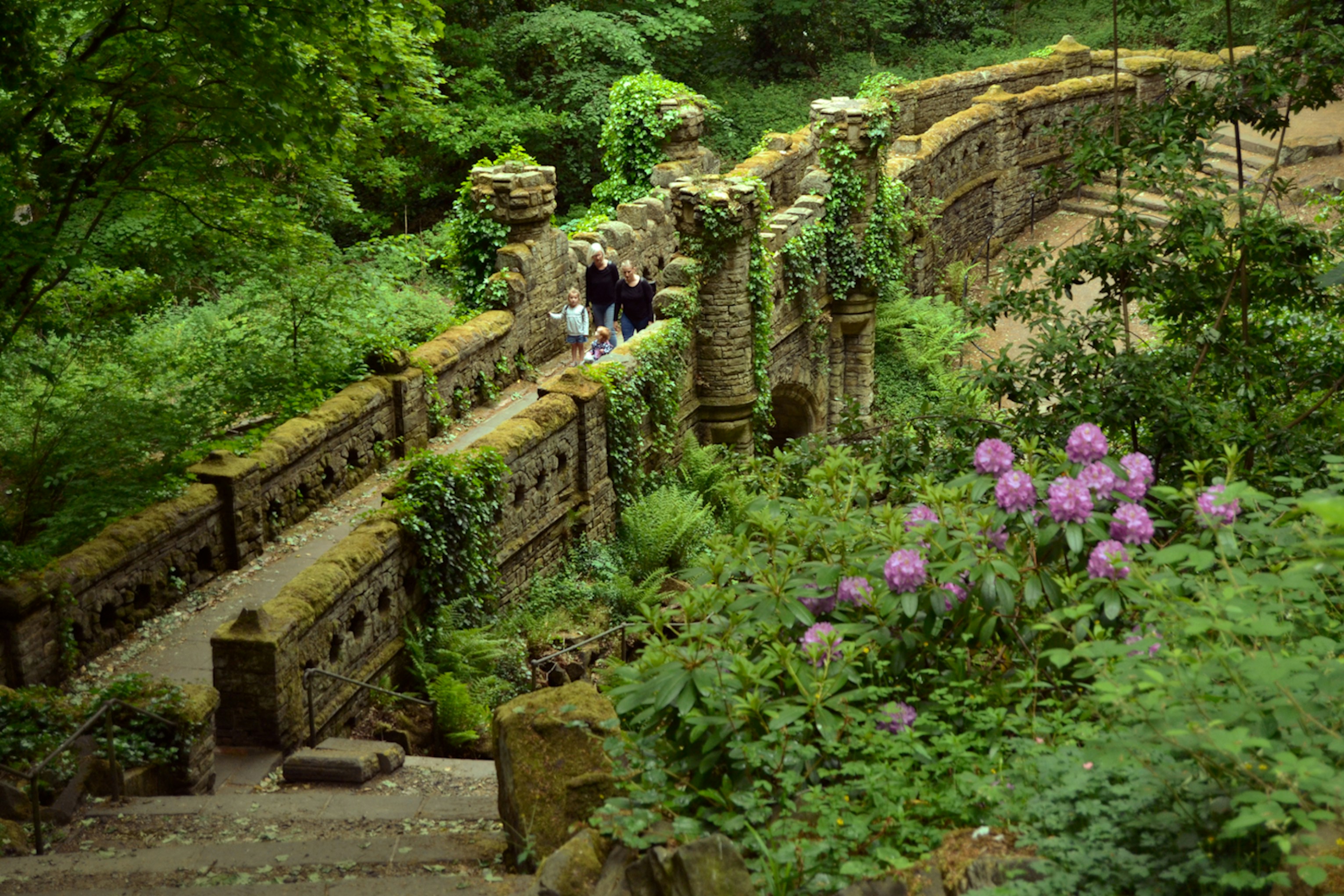 purple flowers on brown concrete wall