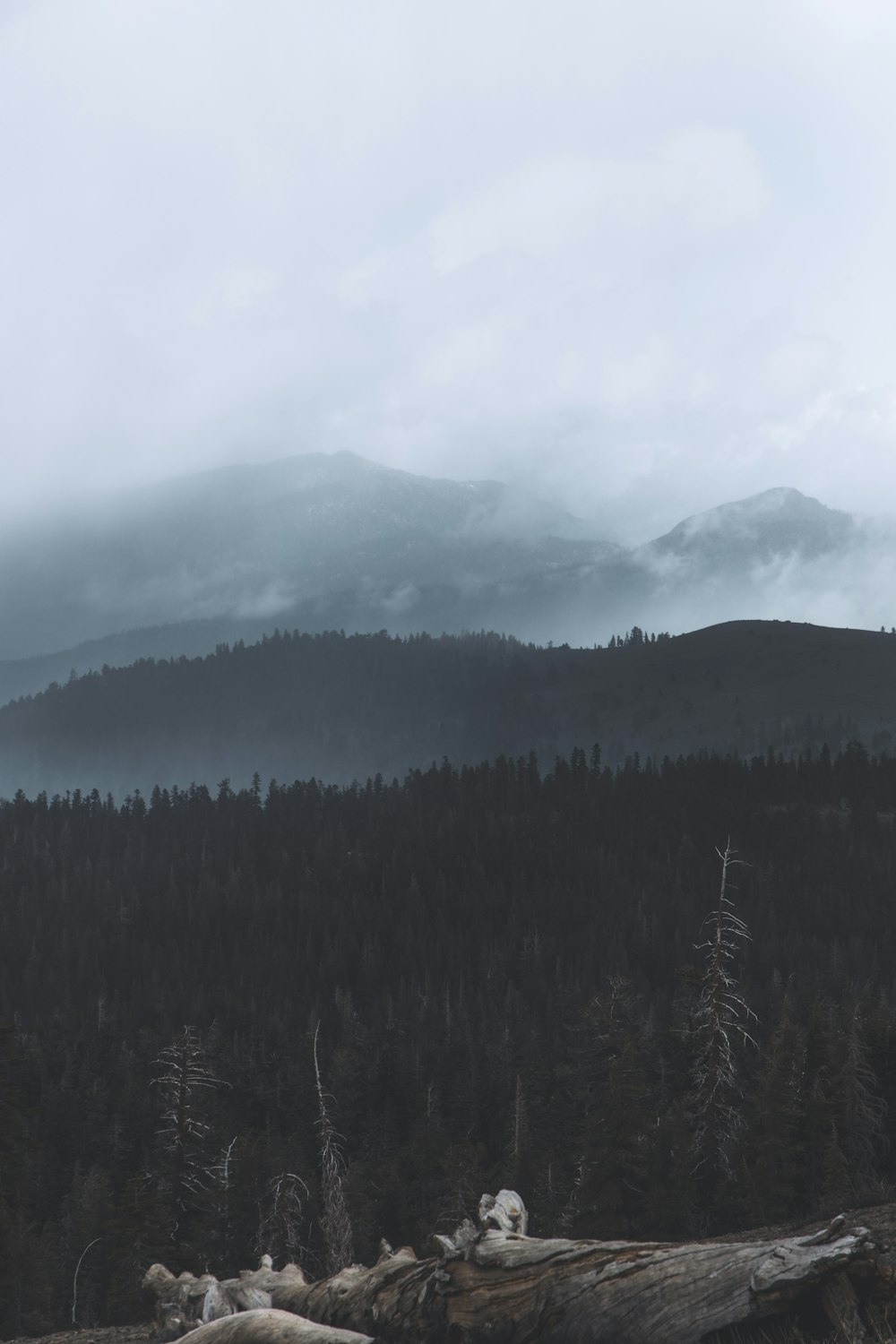 green trees on mountain under white clouds during daytime