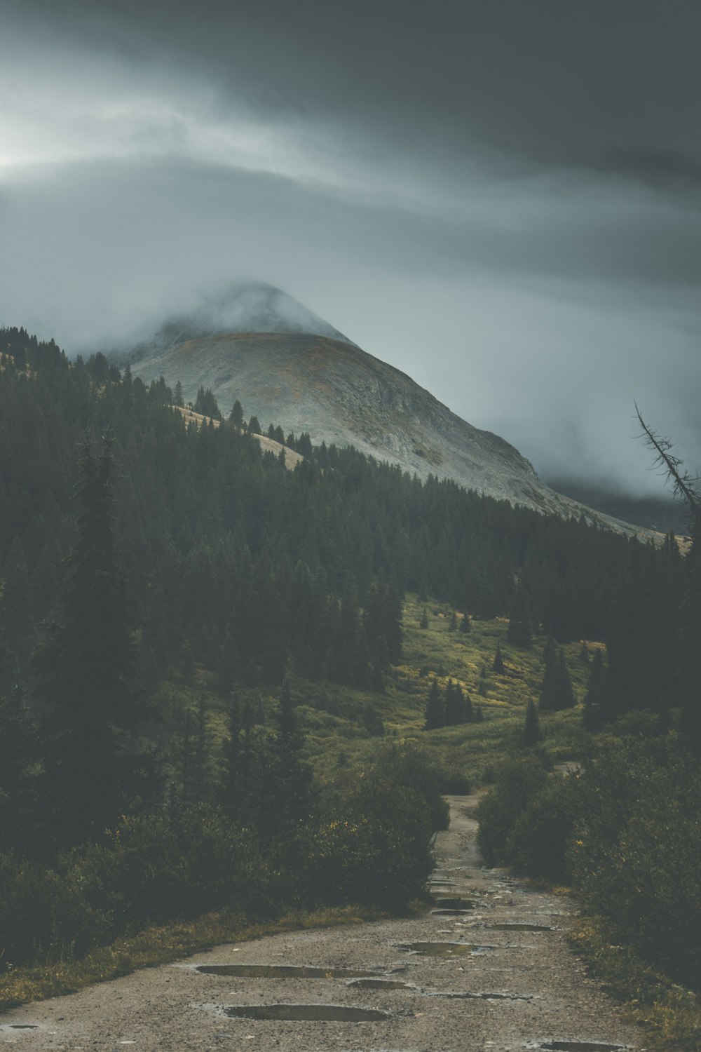 green trees on mountain under cloudy sky during daytime