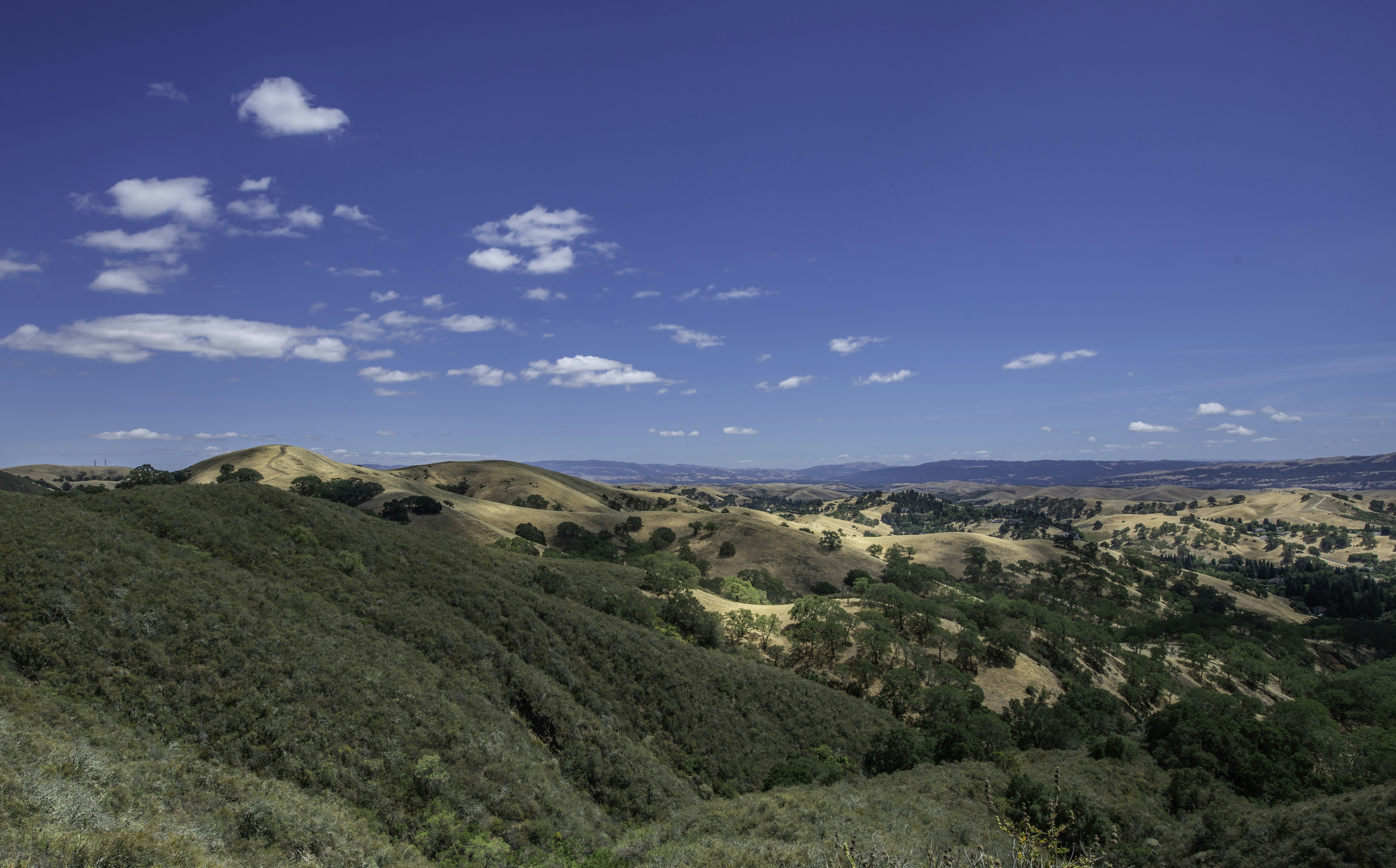 green grass field under blue sky during daytime, Vast views from Mt.Diablo with sprawling hills,oaks and cumulus clouds.