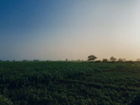 Best Viewpoints in Tirunelveli: Where to Go for the View That Makes the Climb Worth It