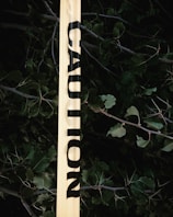 A section of yellow caution tape is stretched across a background of dense, dark green foliage and branches. The caution tape stands out prominently with bold black lettering.