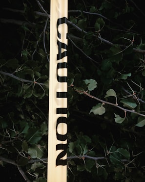 A section of yellow caution tape is stretched across a background of dense, dark green foliage and branches. The caution tape stands out prominently with bold black lettering.