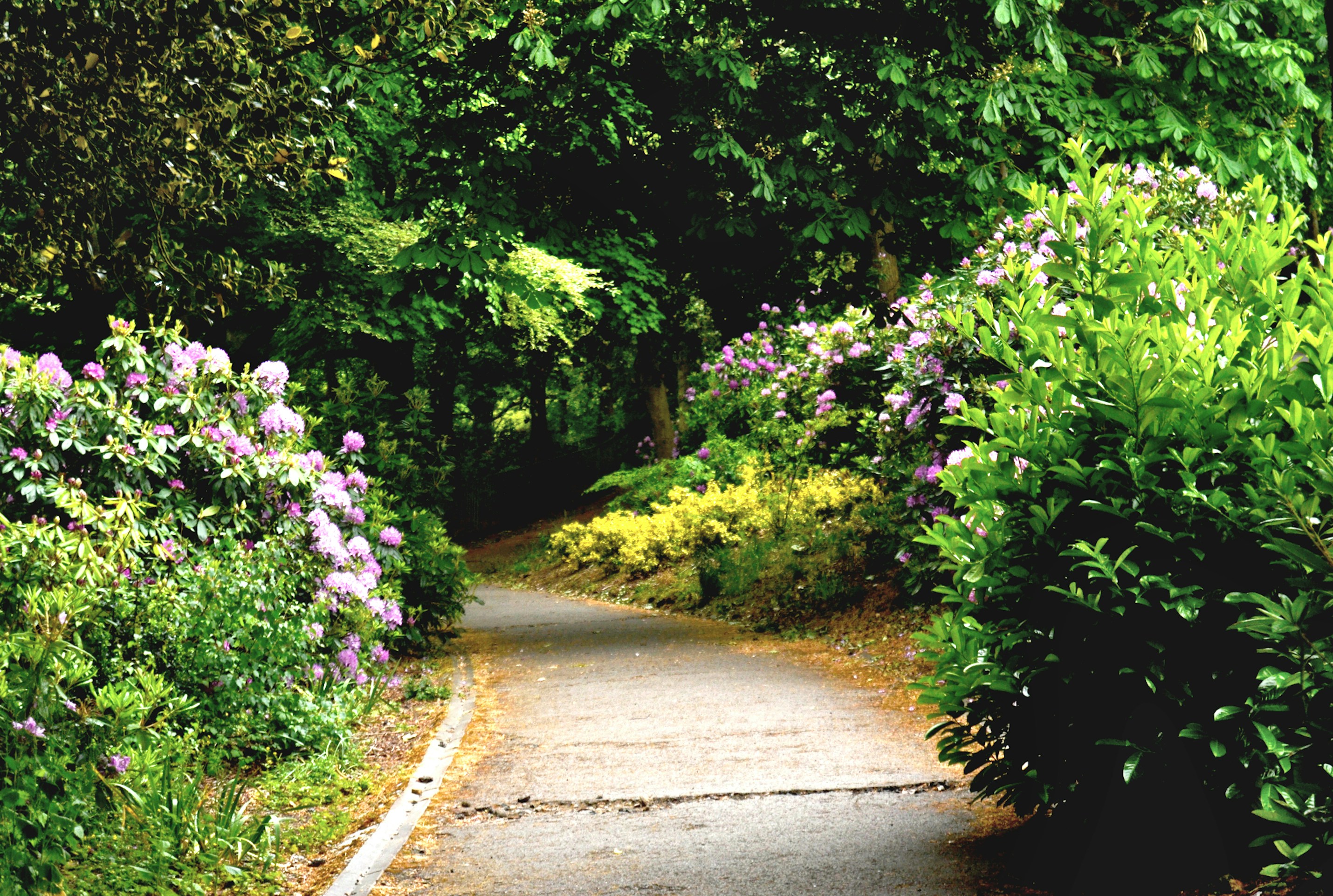 Photo by ollyforever