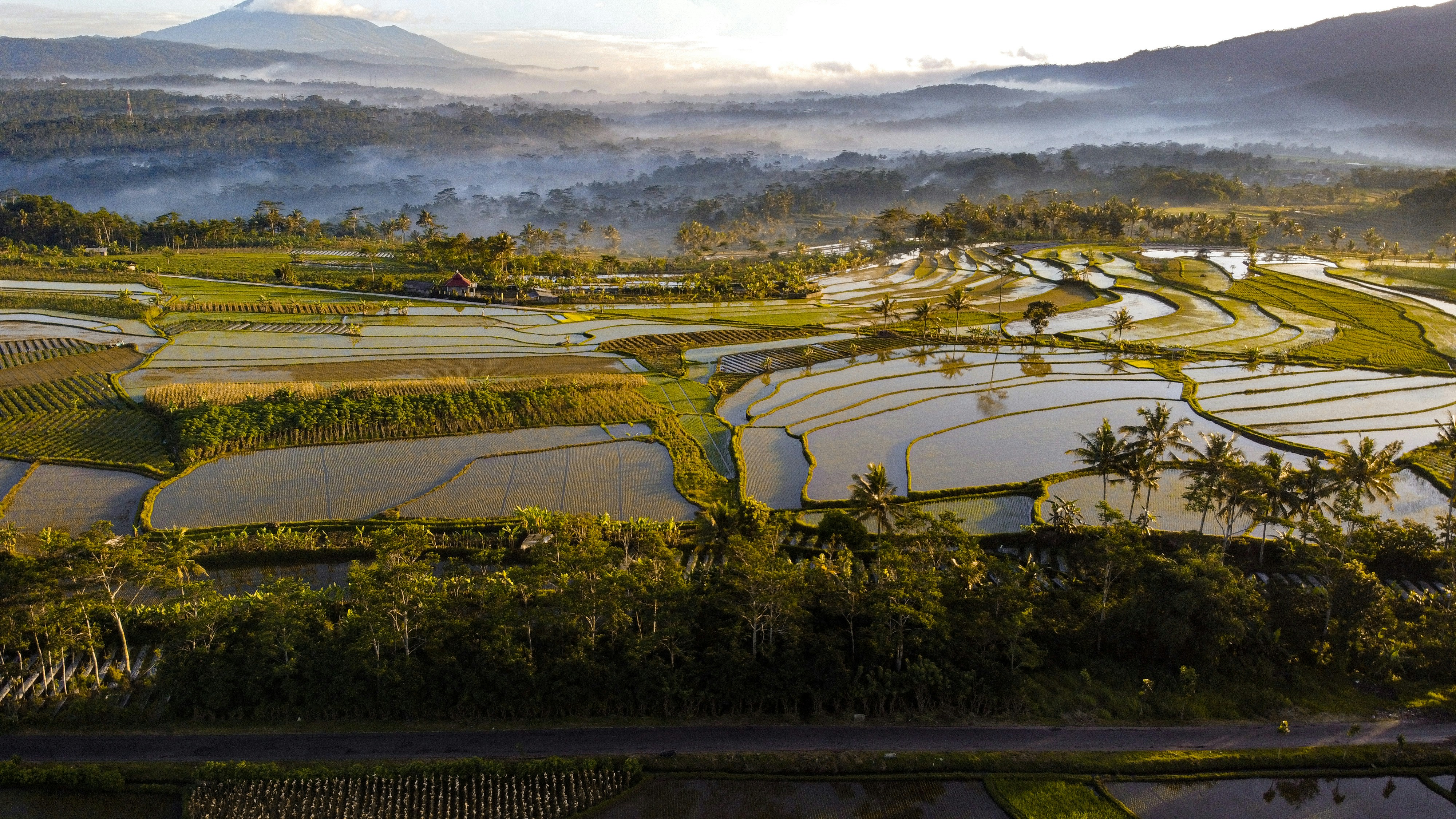 Solo traveler enjoying spectacular mountain views from homestay terrace during golden hour