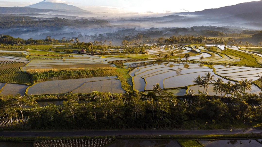 Plain photo spot Grabag Special Region of Yogyakarta