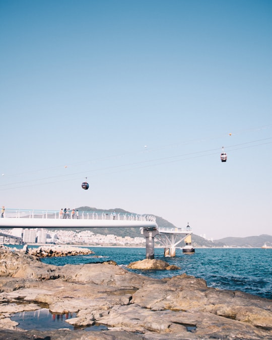 white bridge over the sea during daytime in Busan South Korea
