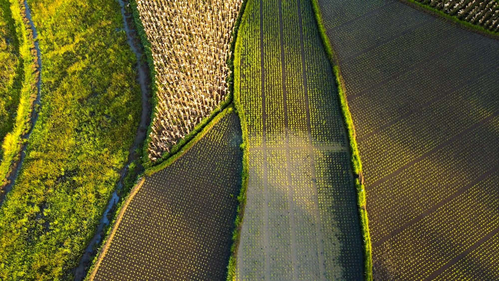 textil verde y gris sobre mesa de madera marrón