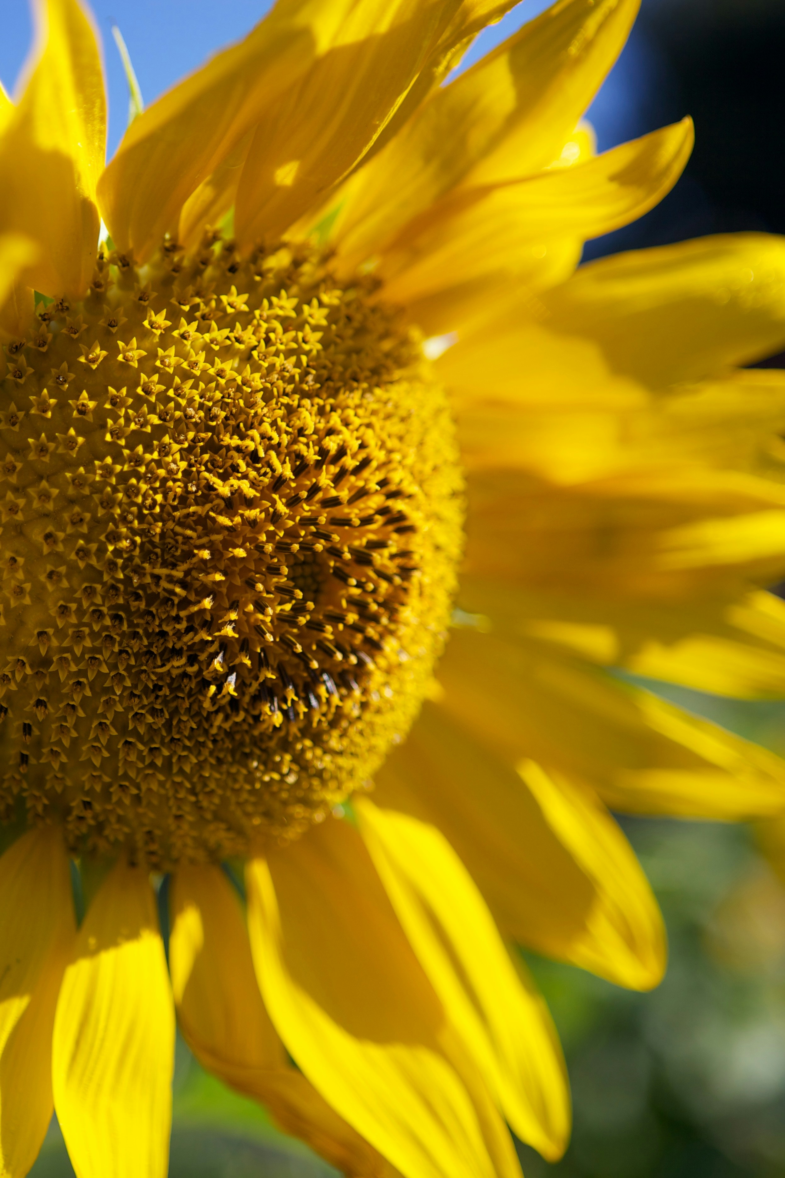 Photo by davidtoddmccarty