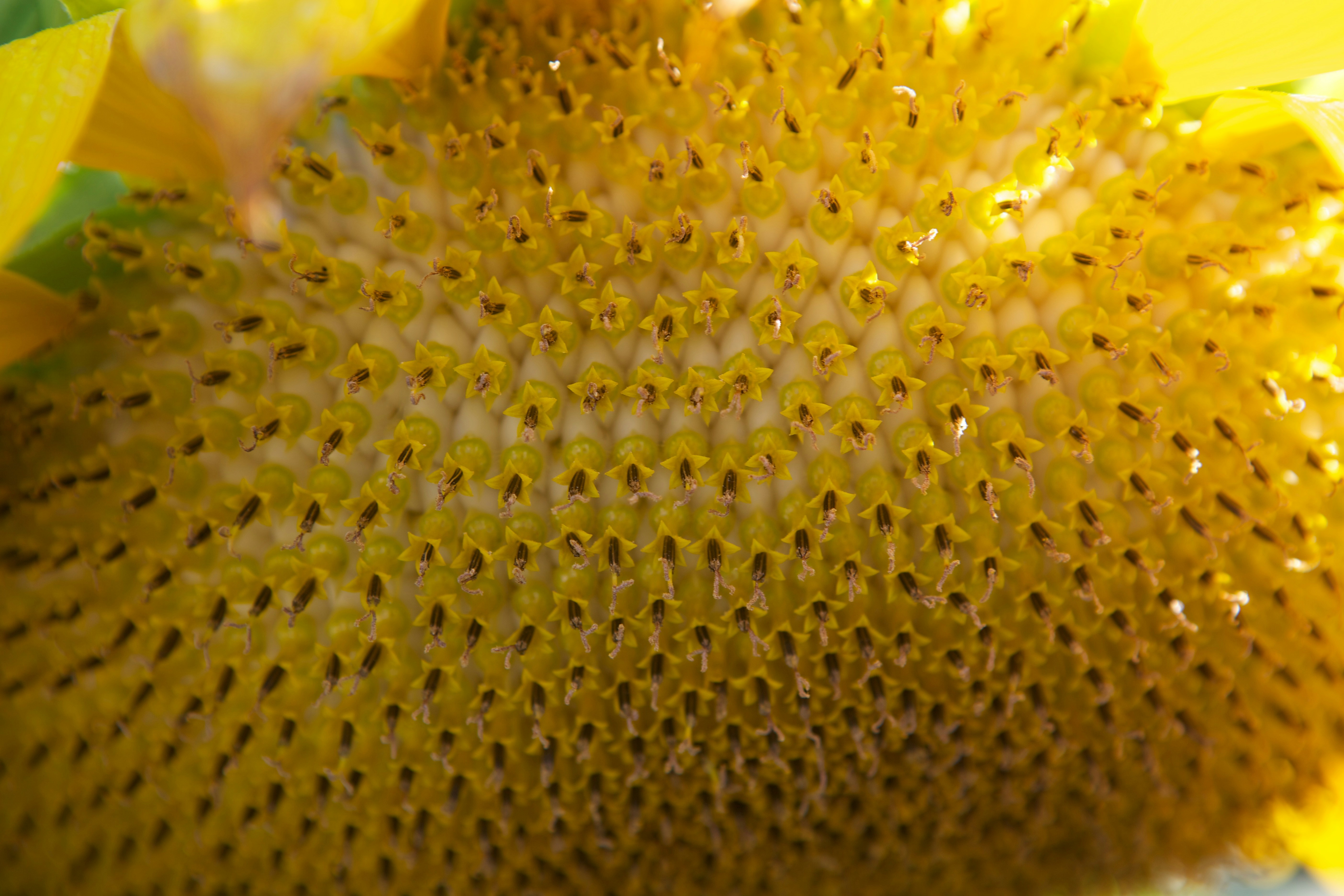 Photo by davidtoddmccarty