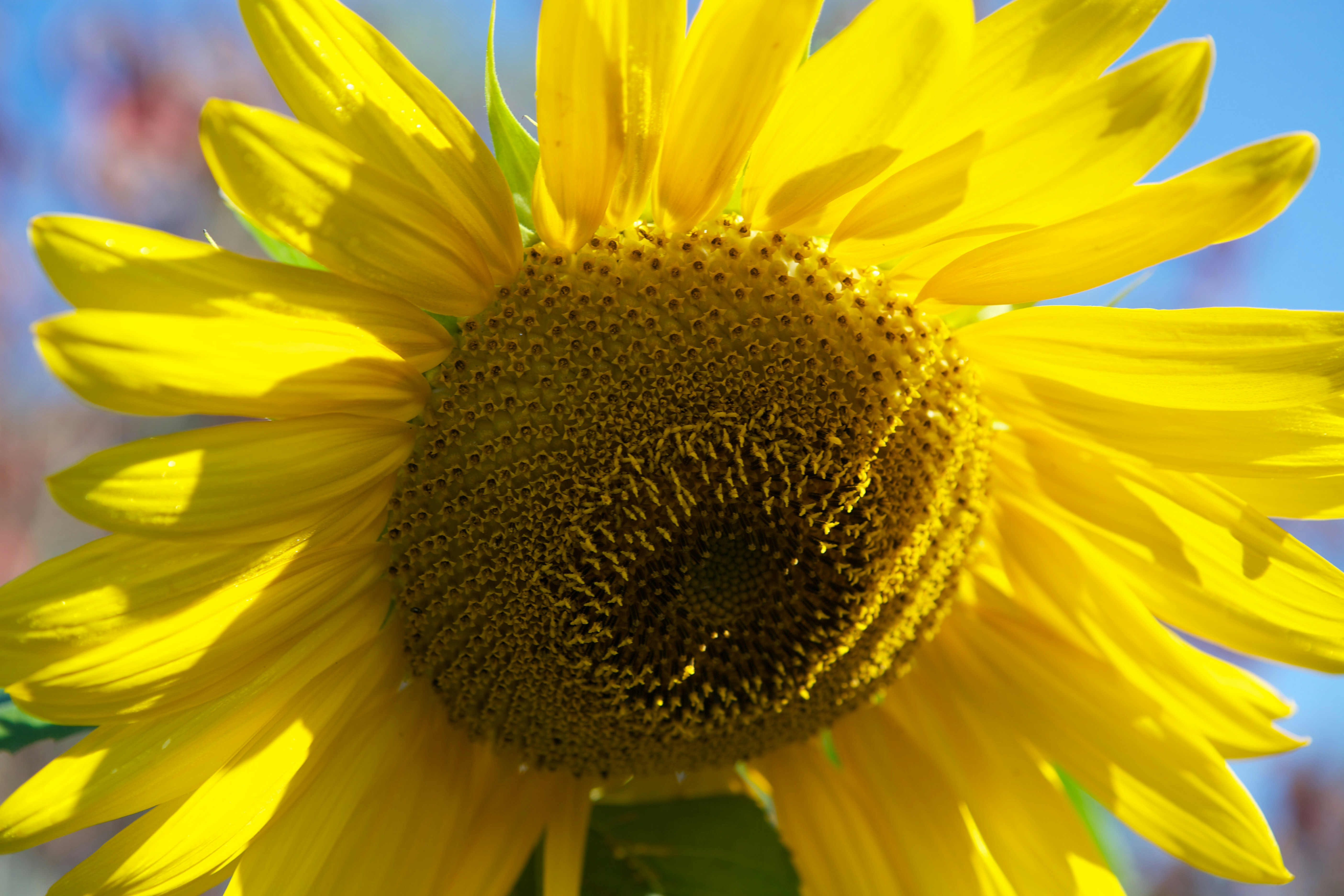 Photo by davidtoddmccarty