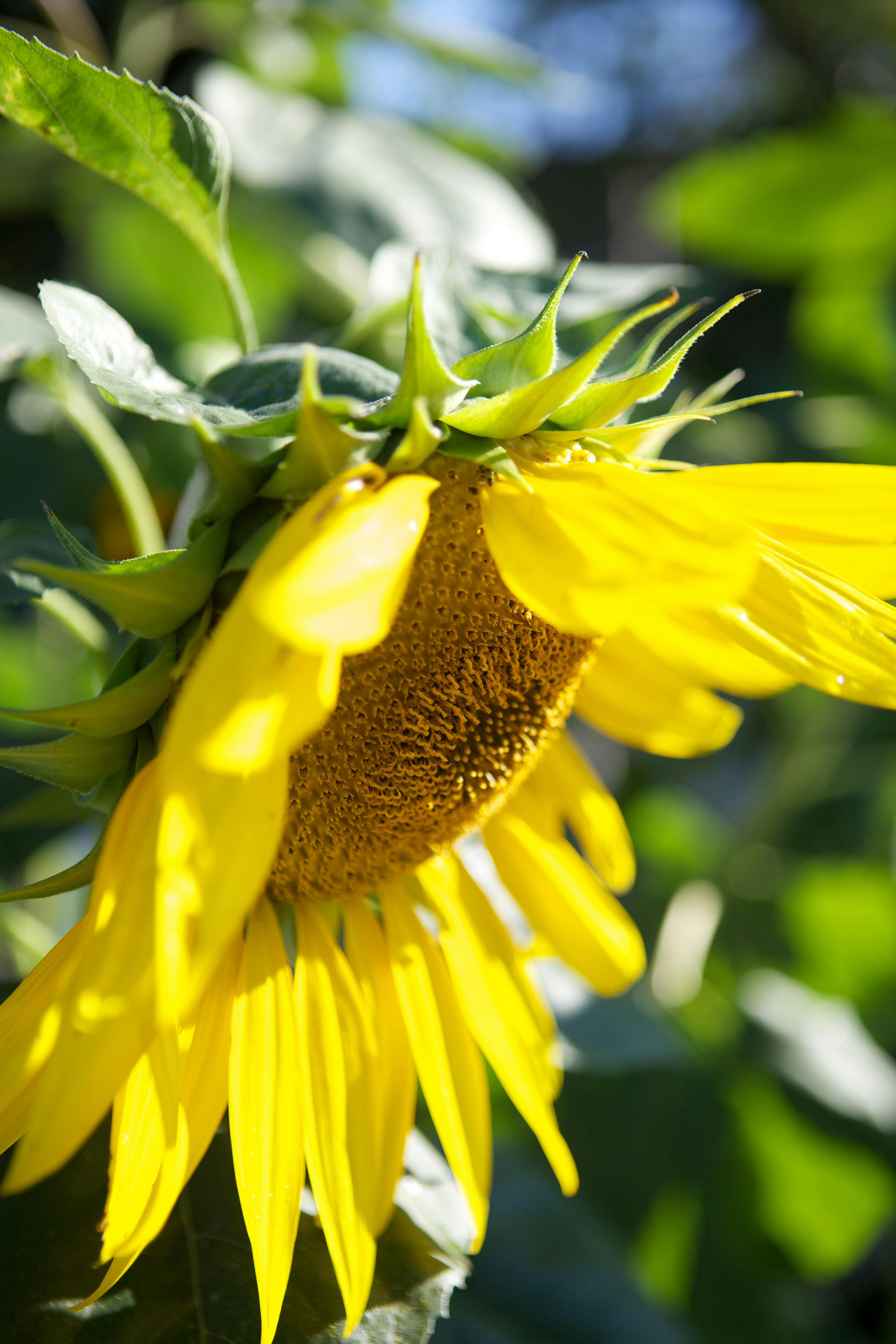 Photo by davidtoddmccarty