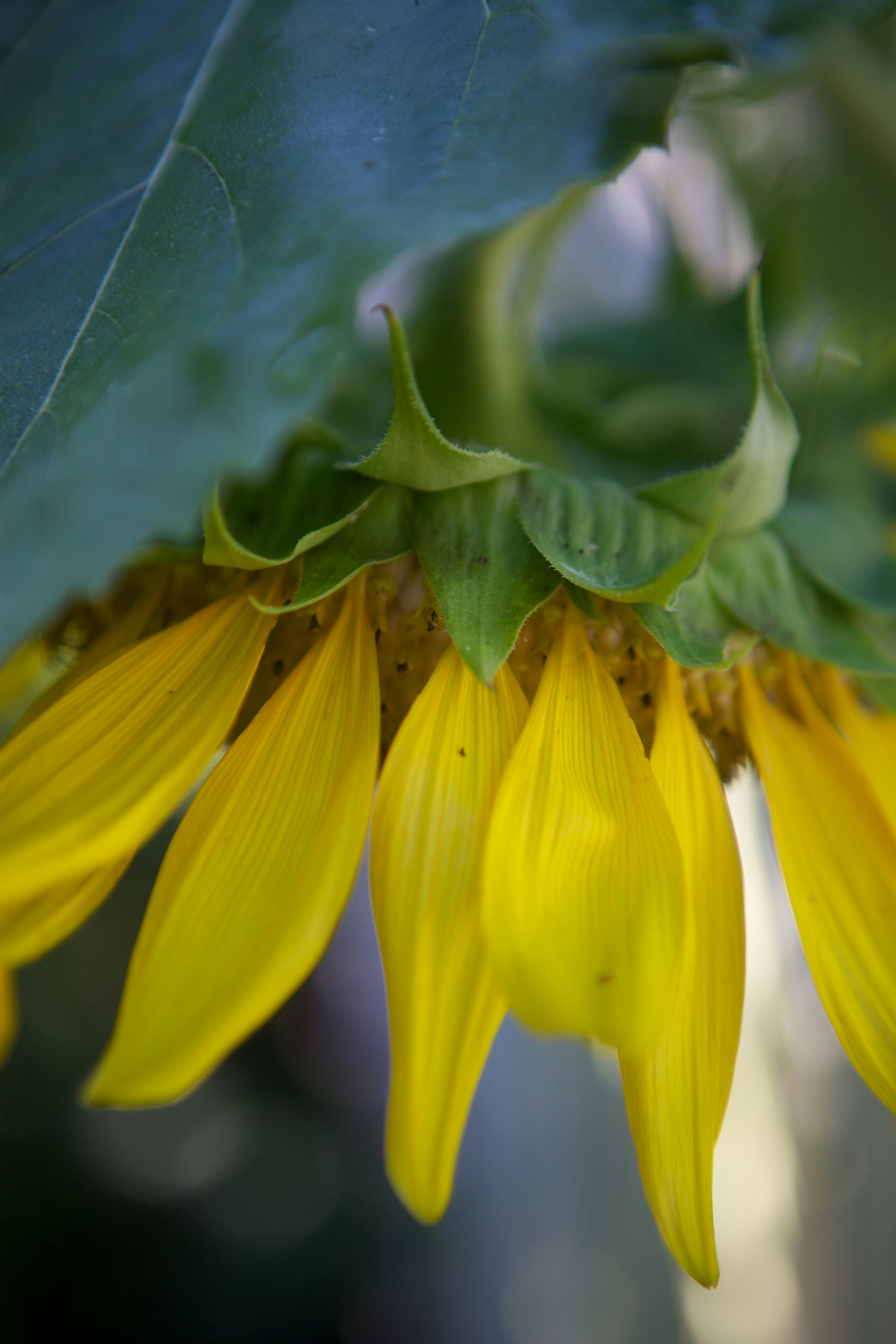 Photo by davidtoddmccarty