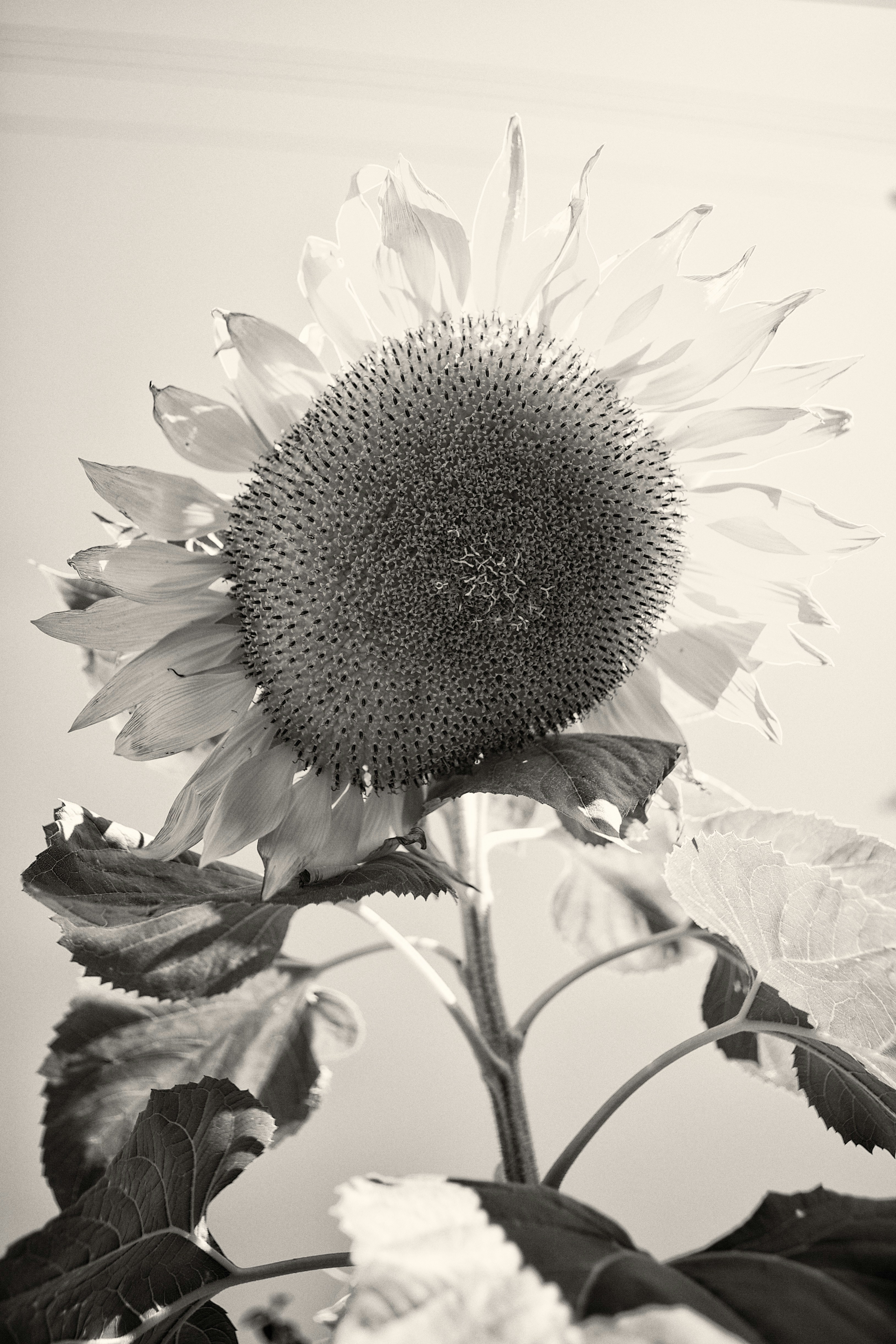 Photo by davidtoddmccarty