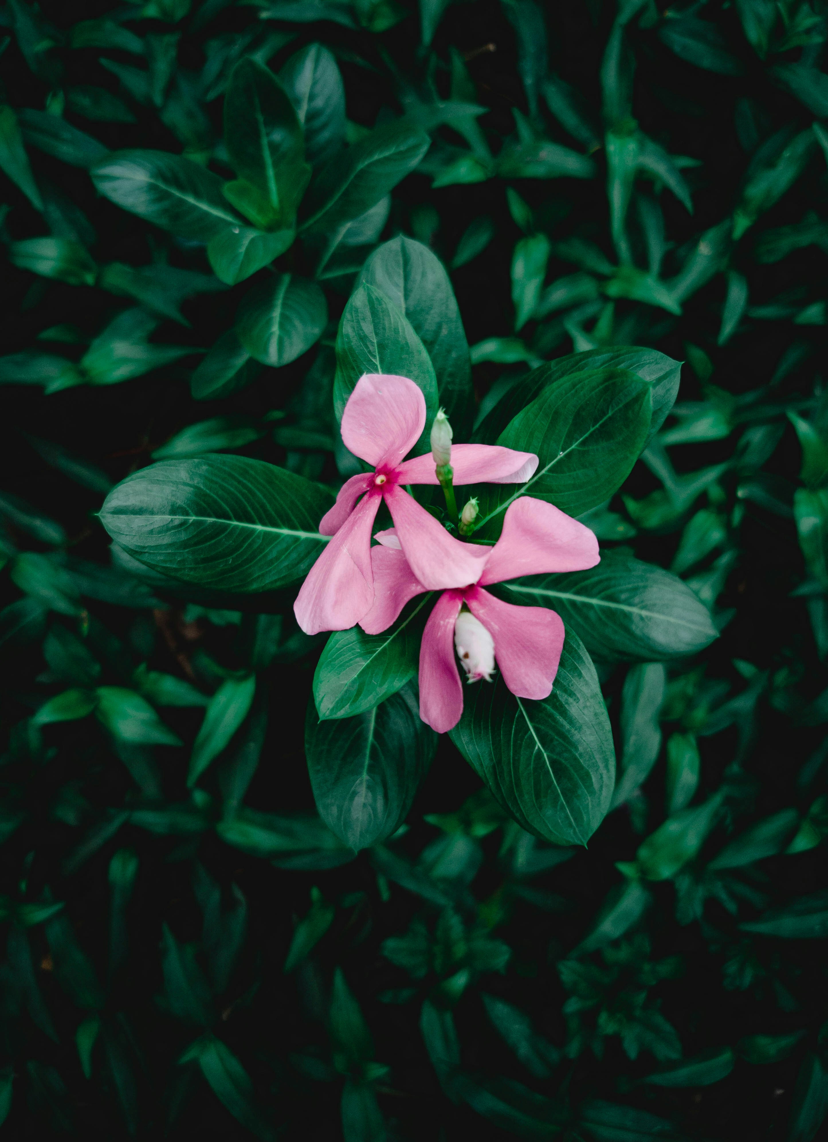 Photo by theabdullahalam