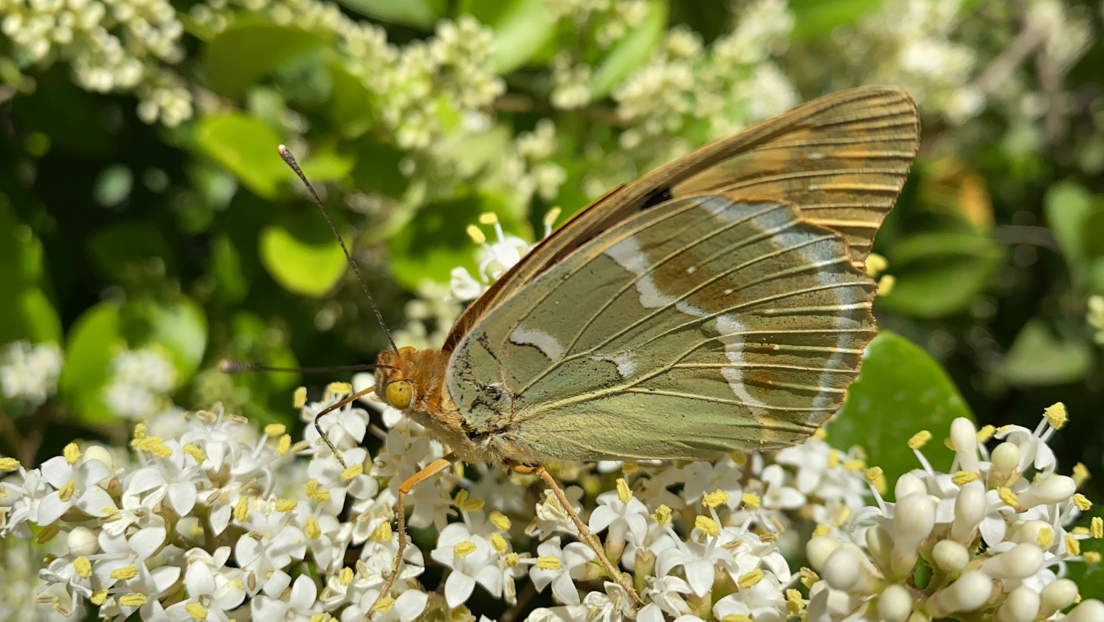 Photo by arshiabatouei