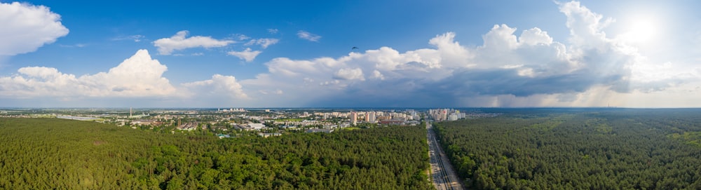 green trees near city buildings under blue sky during daytime