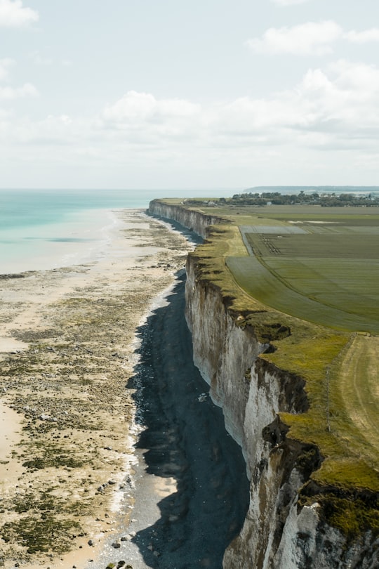 brown sand beach during daytime in Saint-Valery-en-Caux France