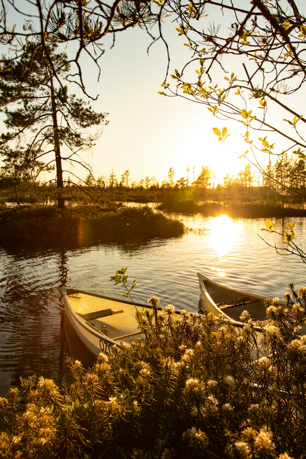 white boat on lake during sunset