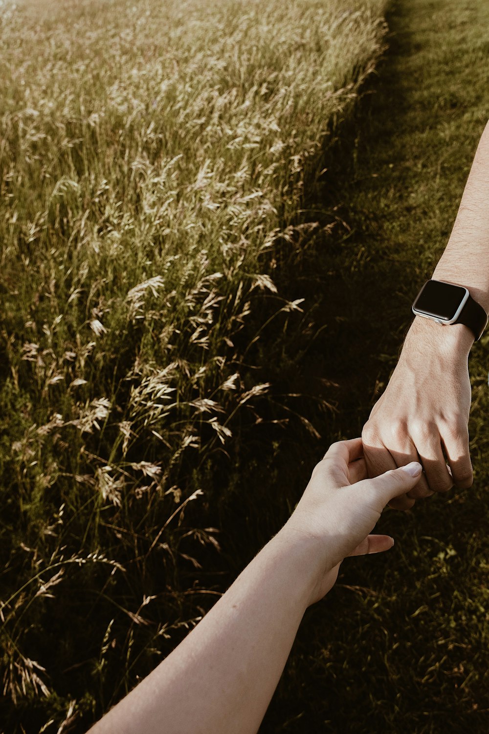 person wearing silver apple watch holding green grass