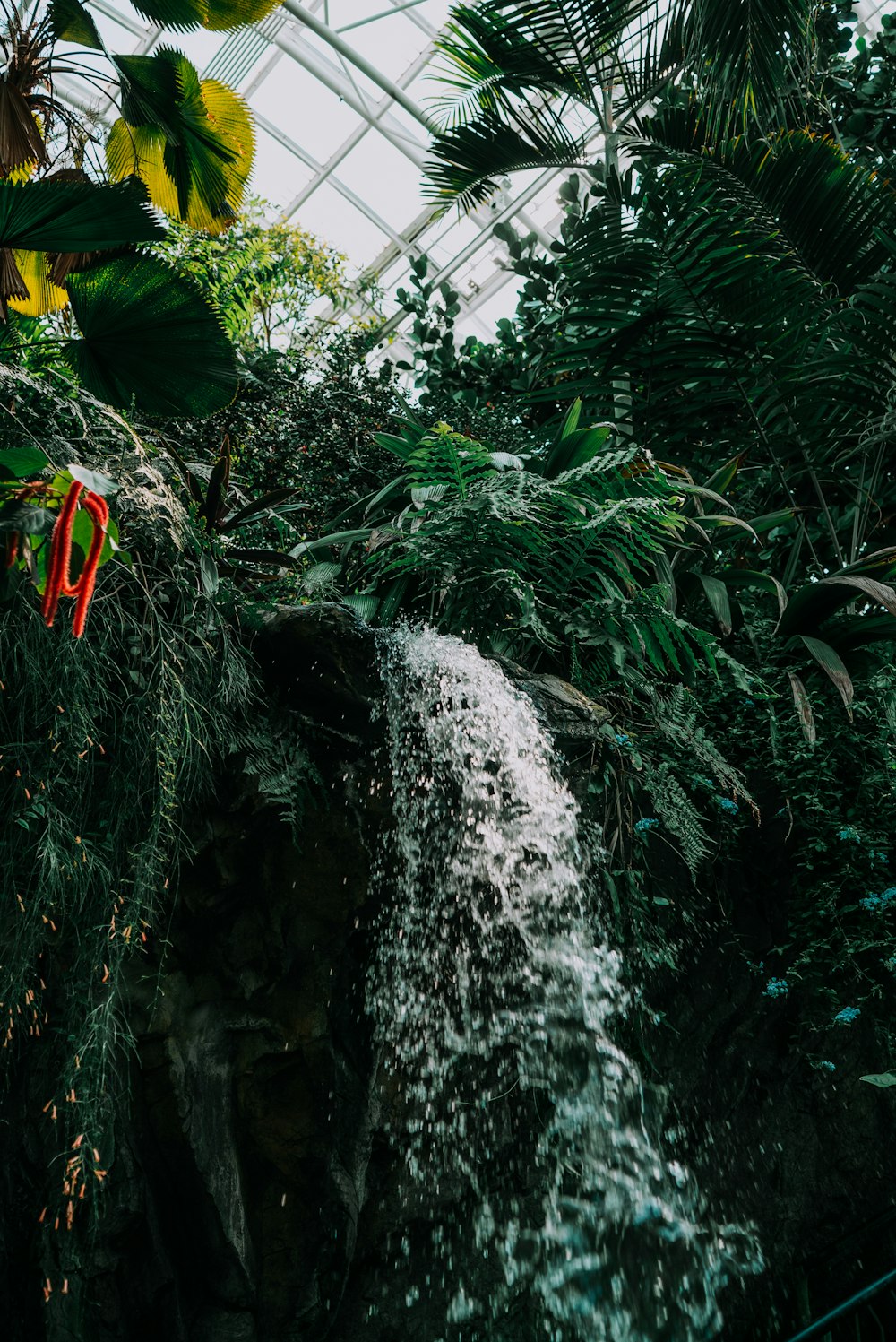 water falls in the middle of green plants