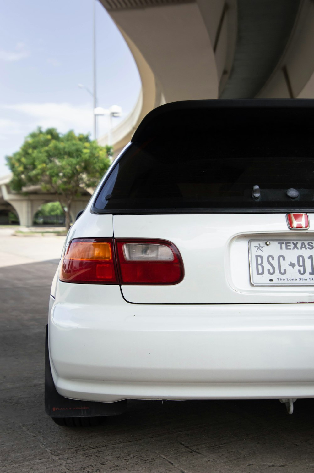 white car with license plate