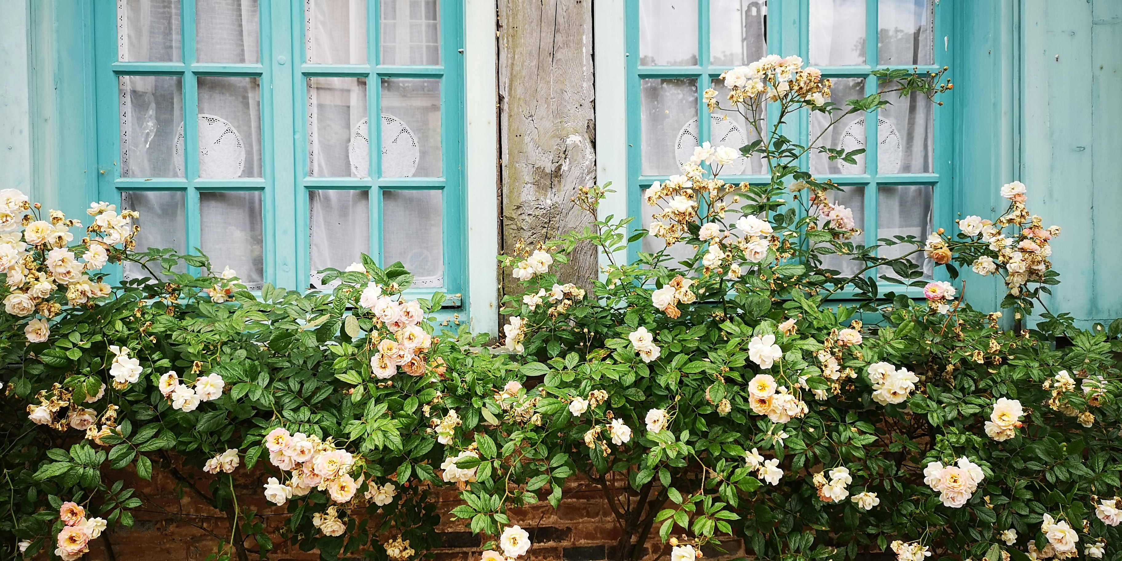 Photo by chantalgarnier