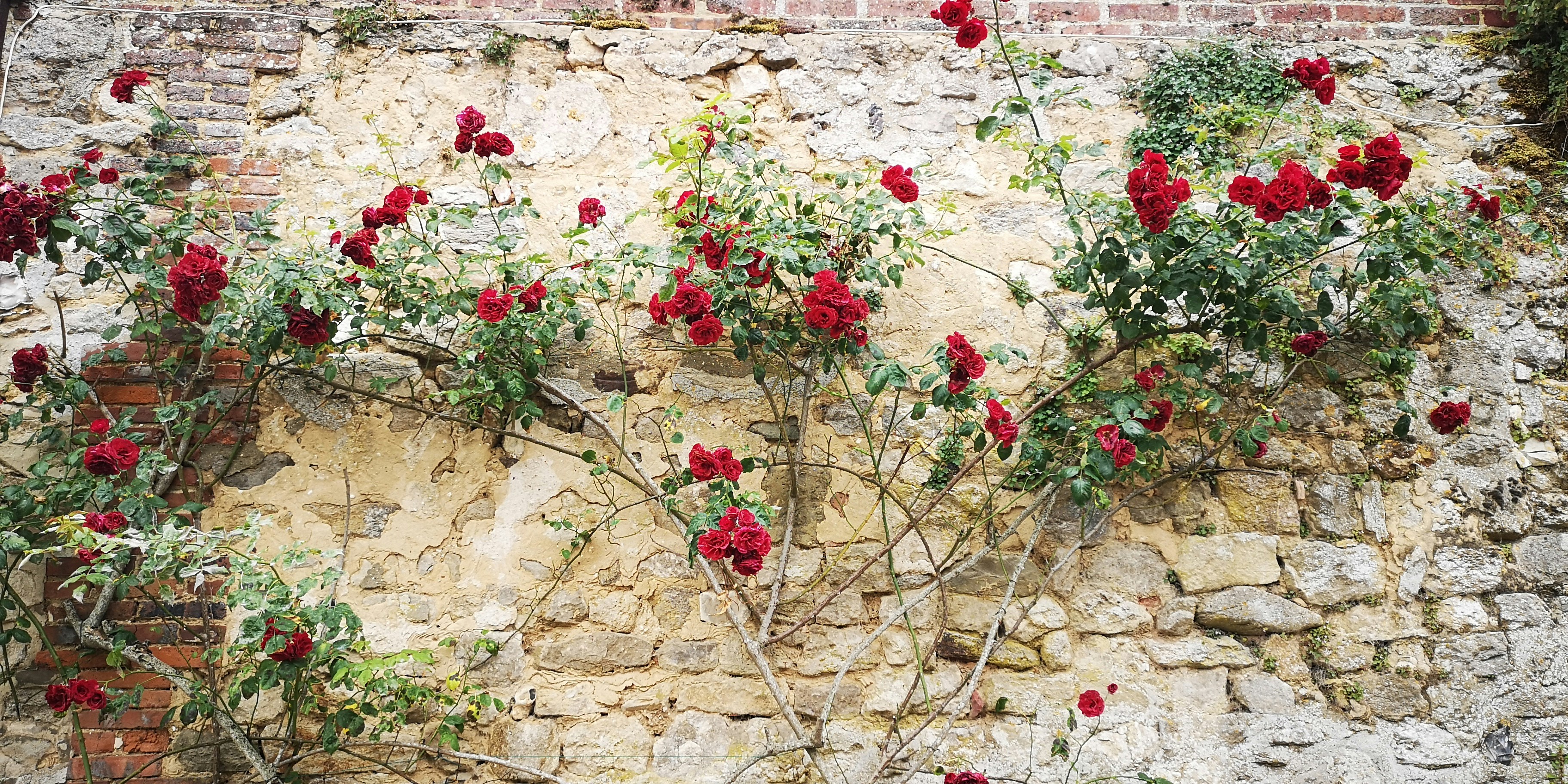 Photo by chantalgarnier