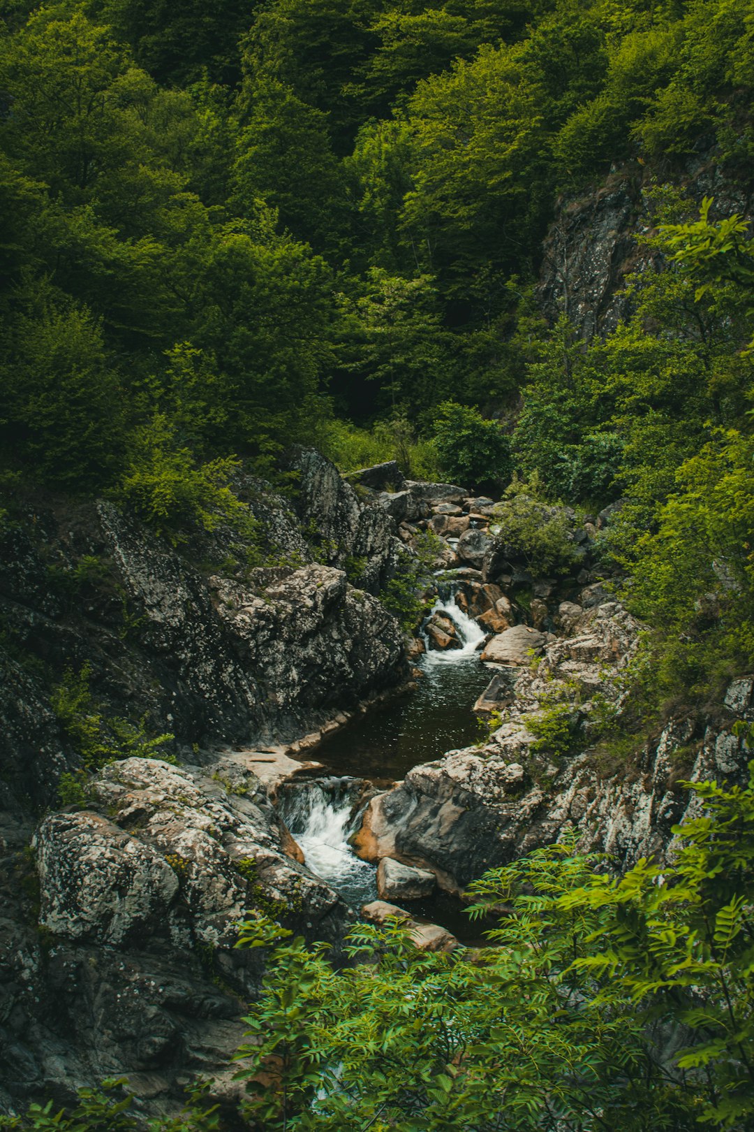 Forest photo spot Cluj County Alba Iulia