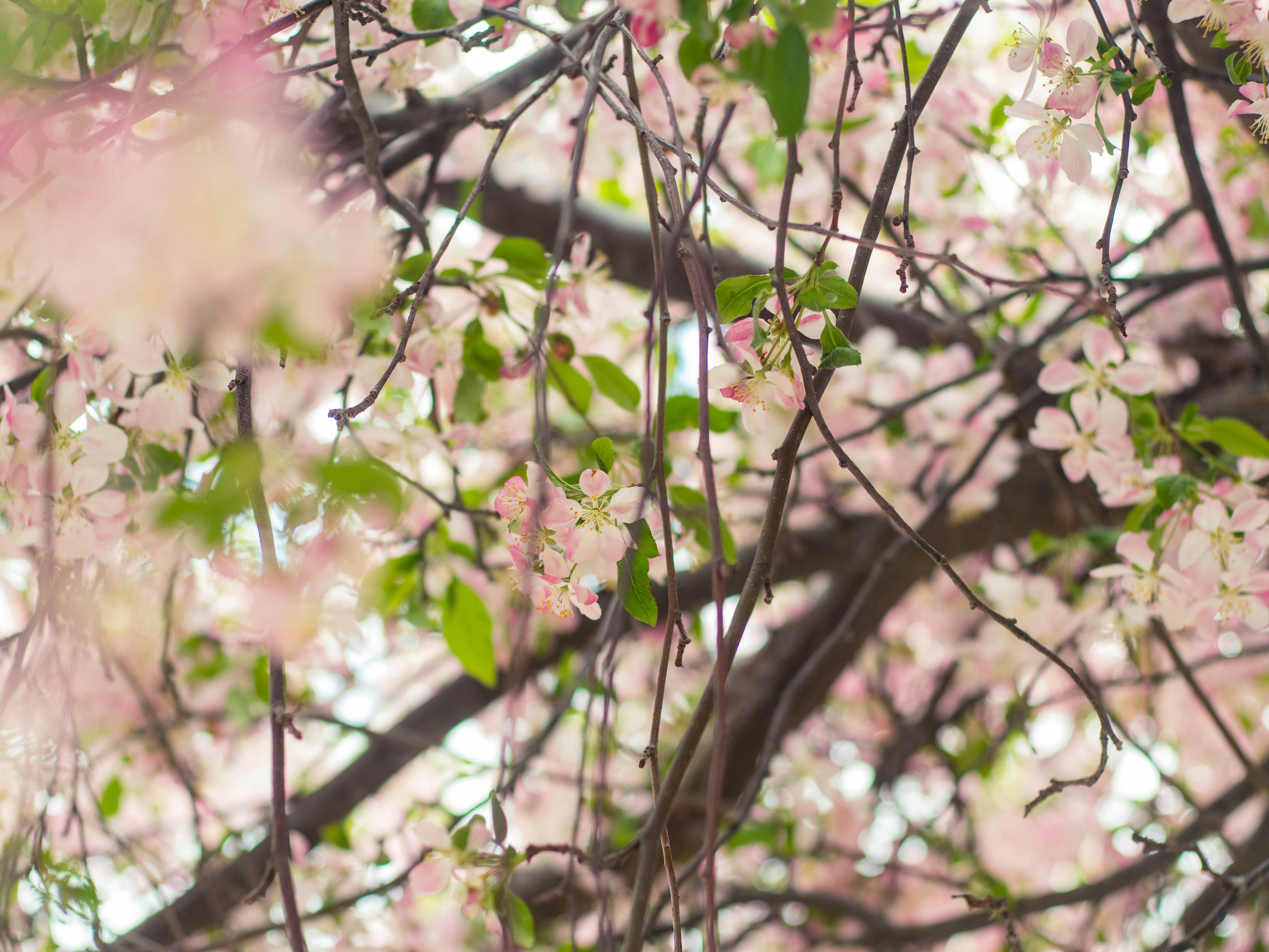 Photo by giobartlett