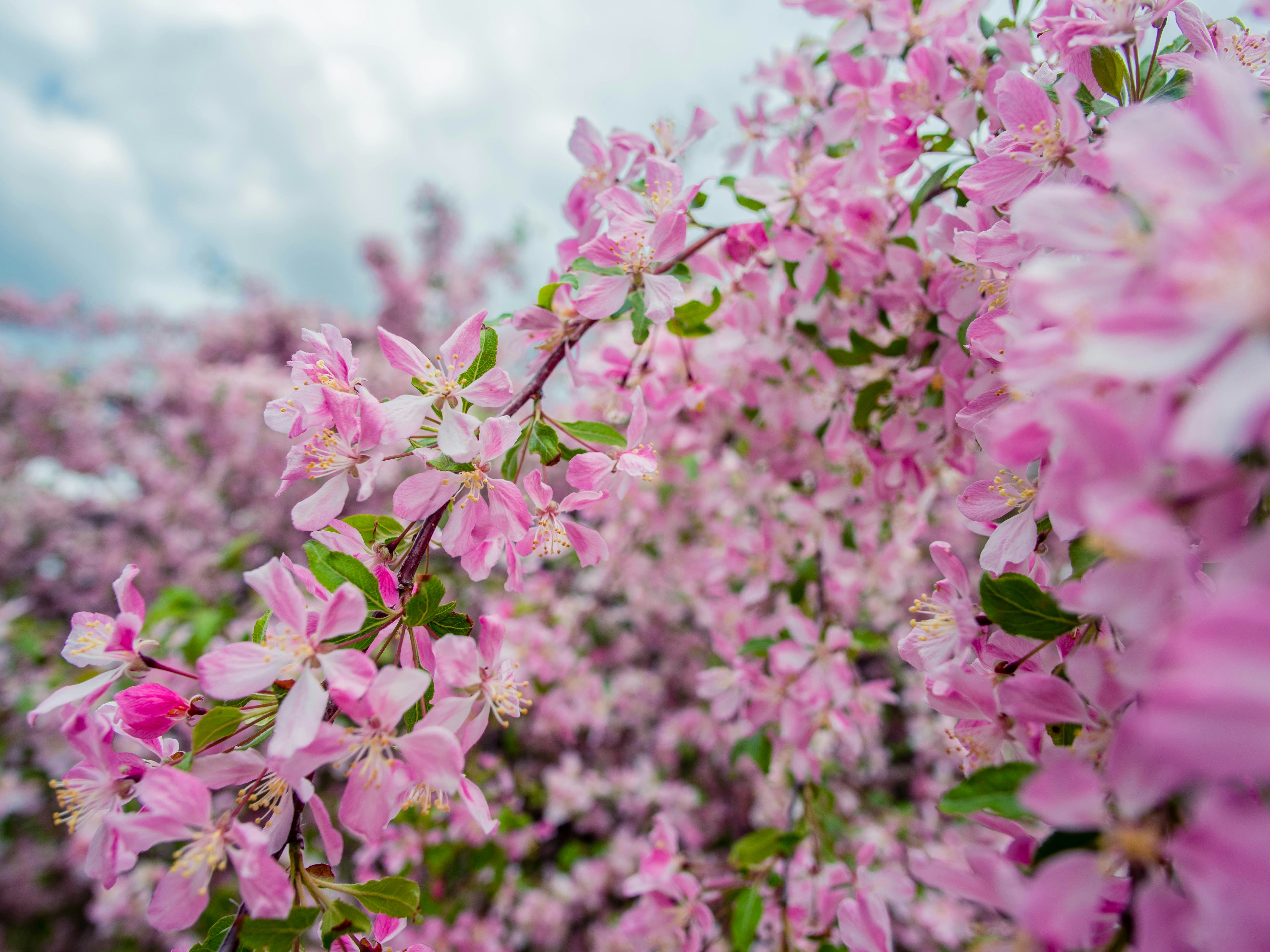 Photo by giobartlett