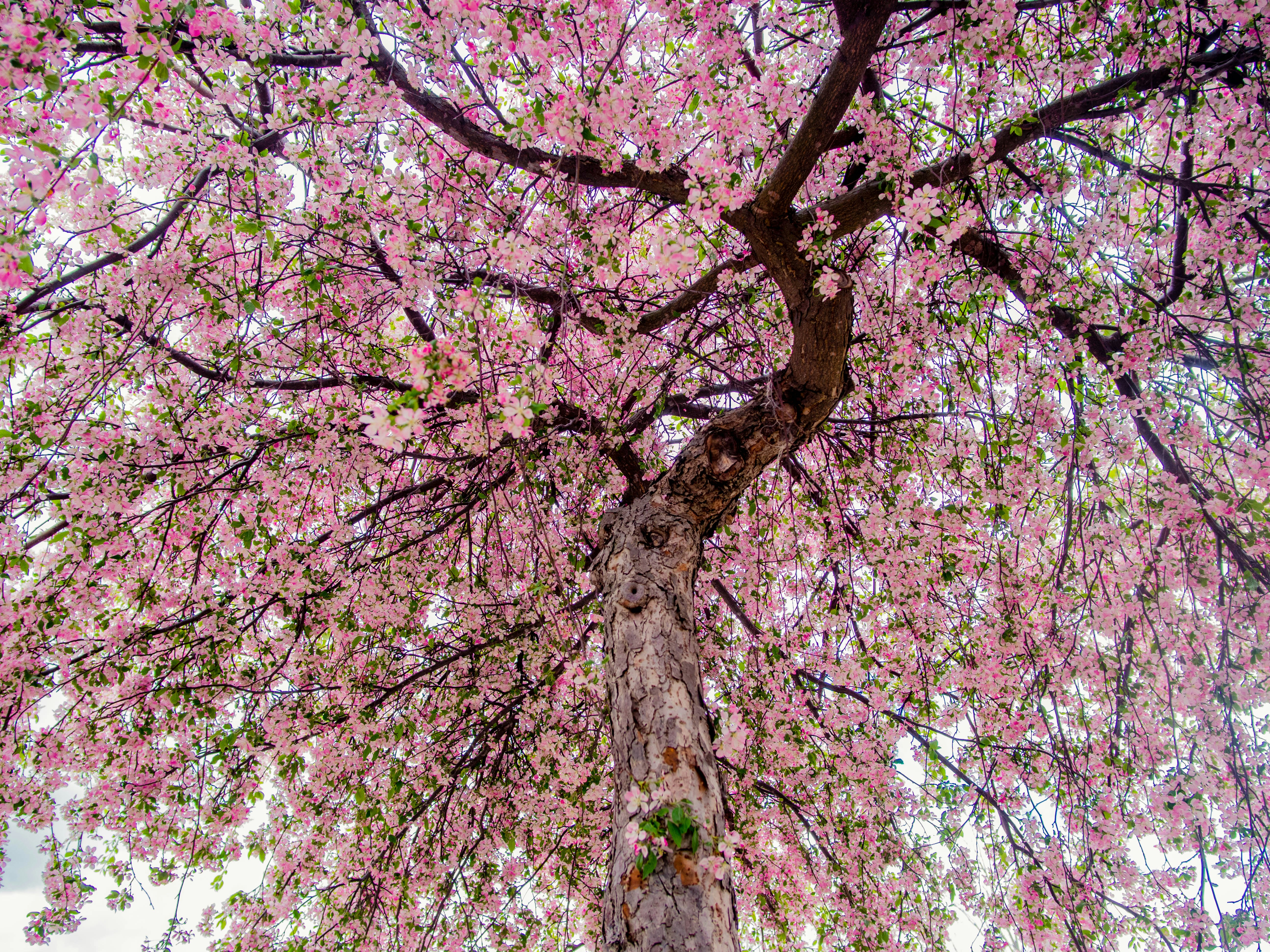 Photo by giobartlett