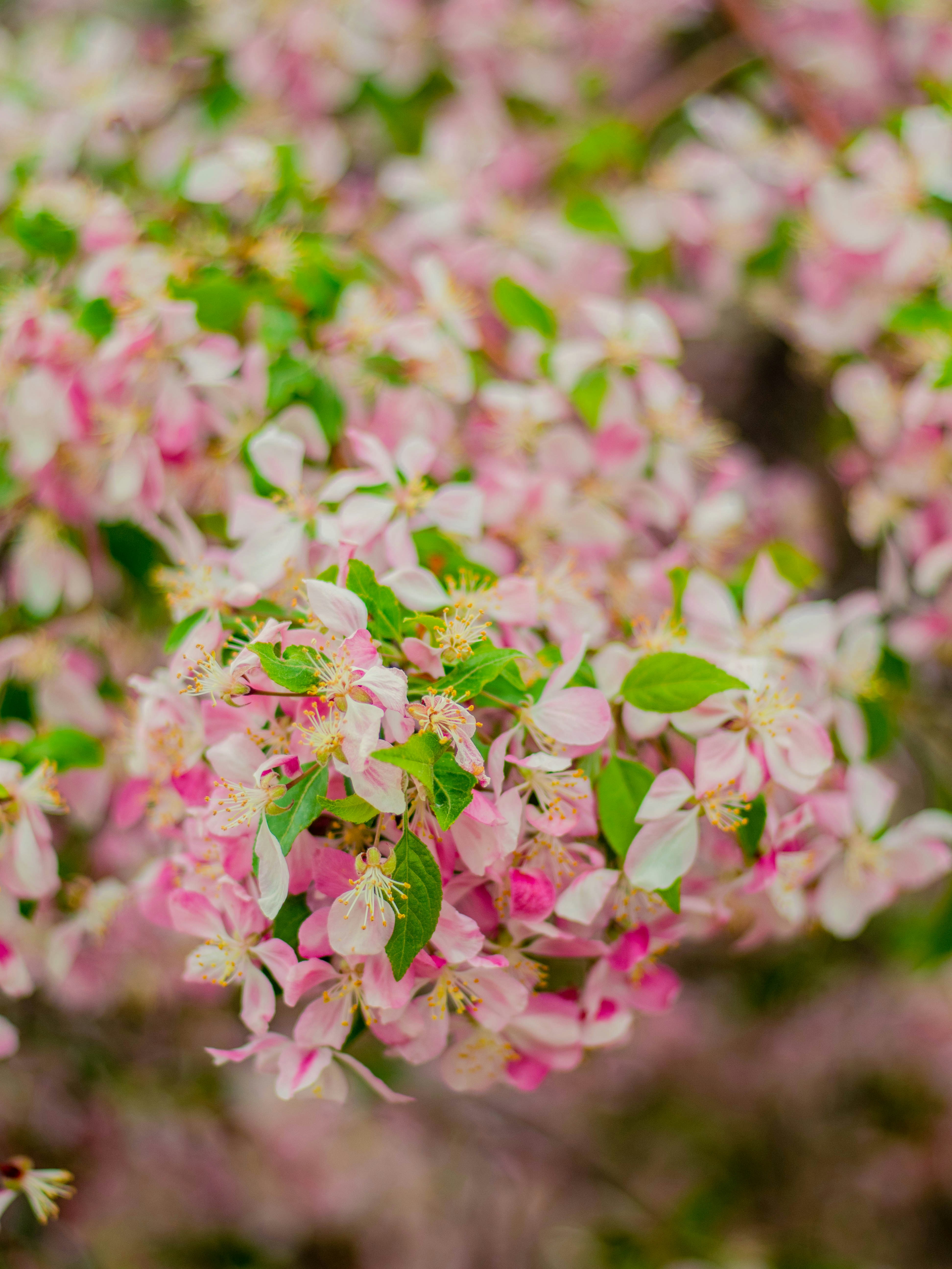 Photo by giobartlett