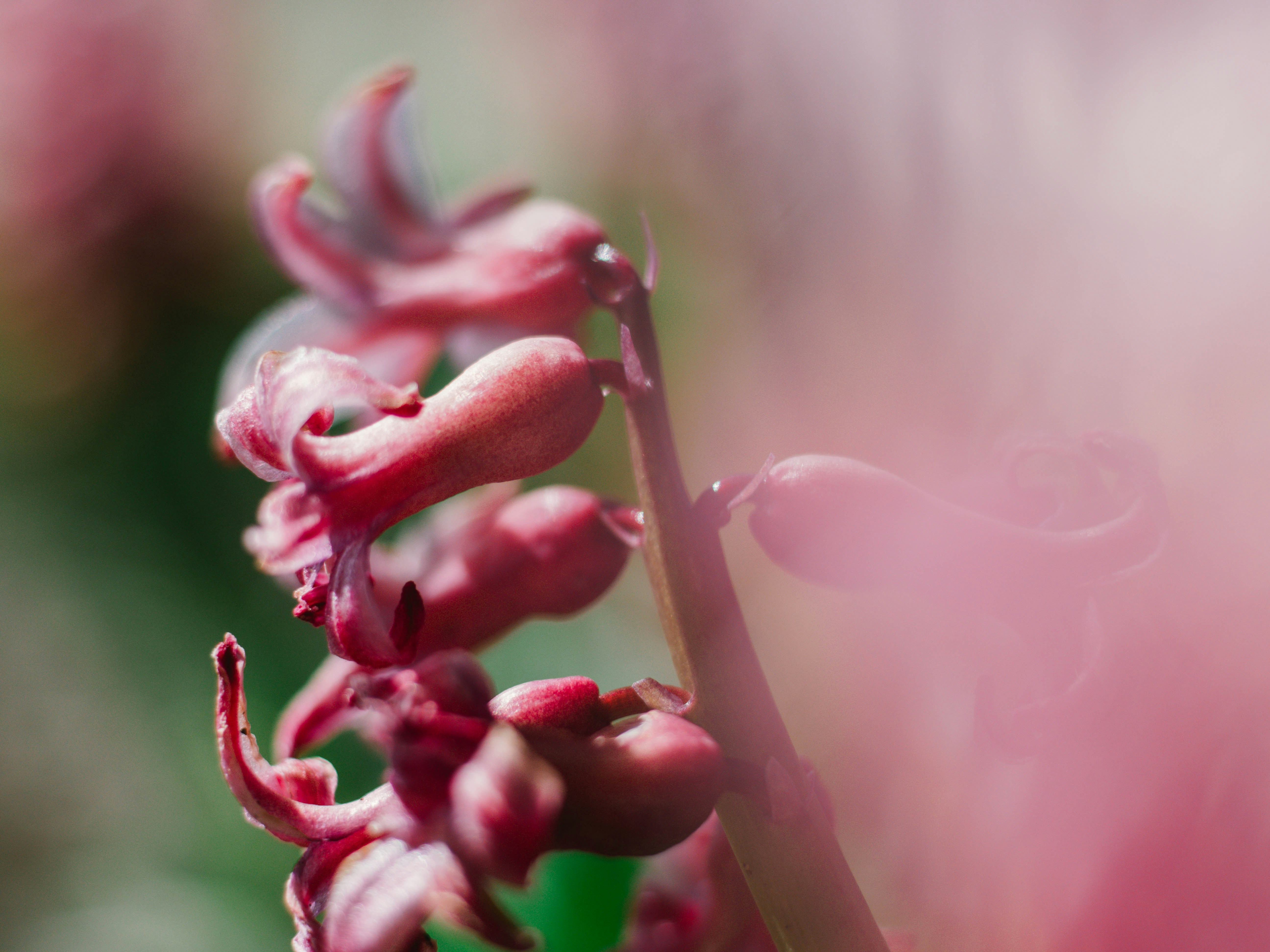 Photo by giobartlett