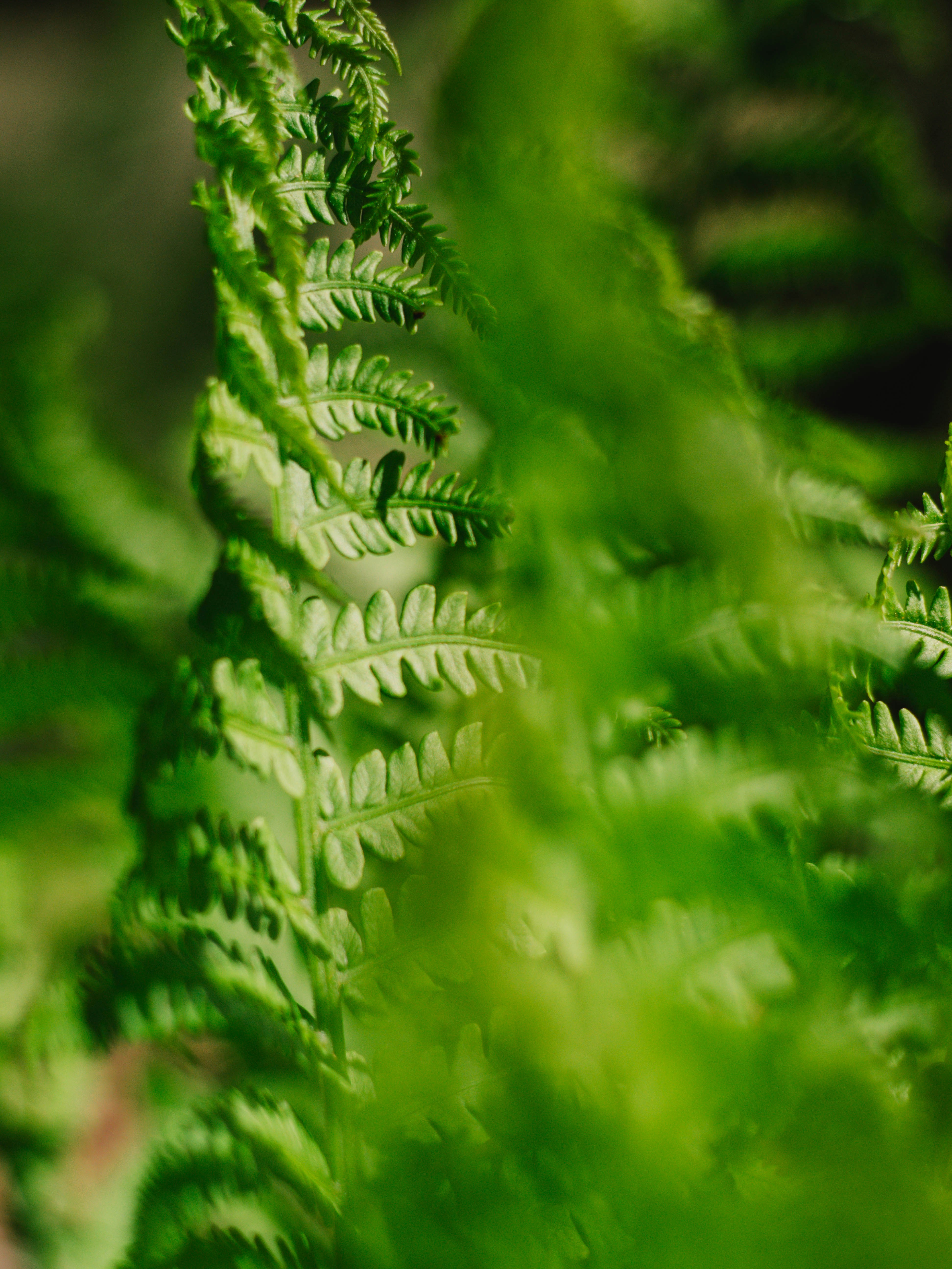 Photo by giobartlett