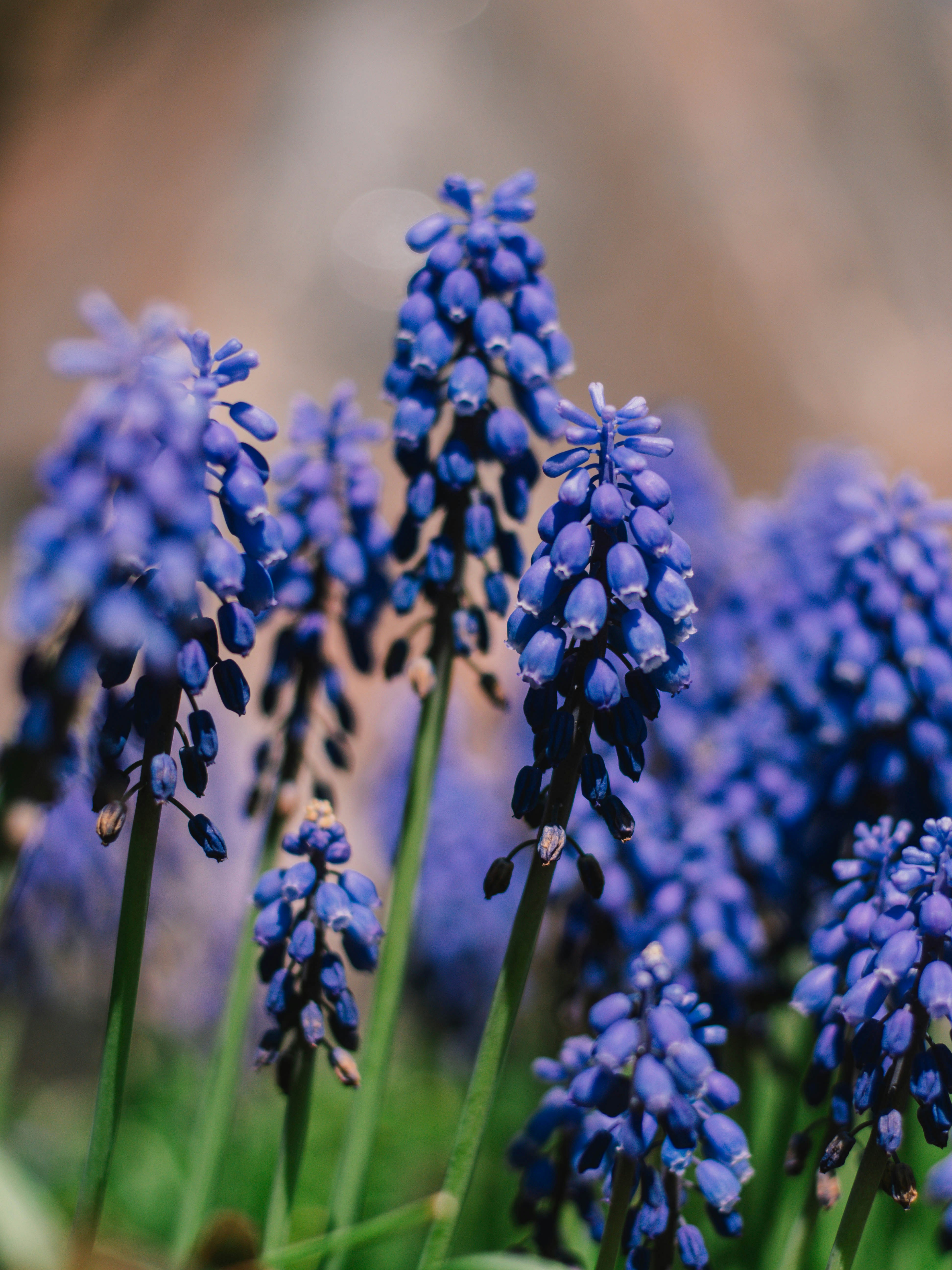 Photo by giobartlett