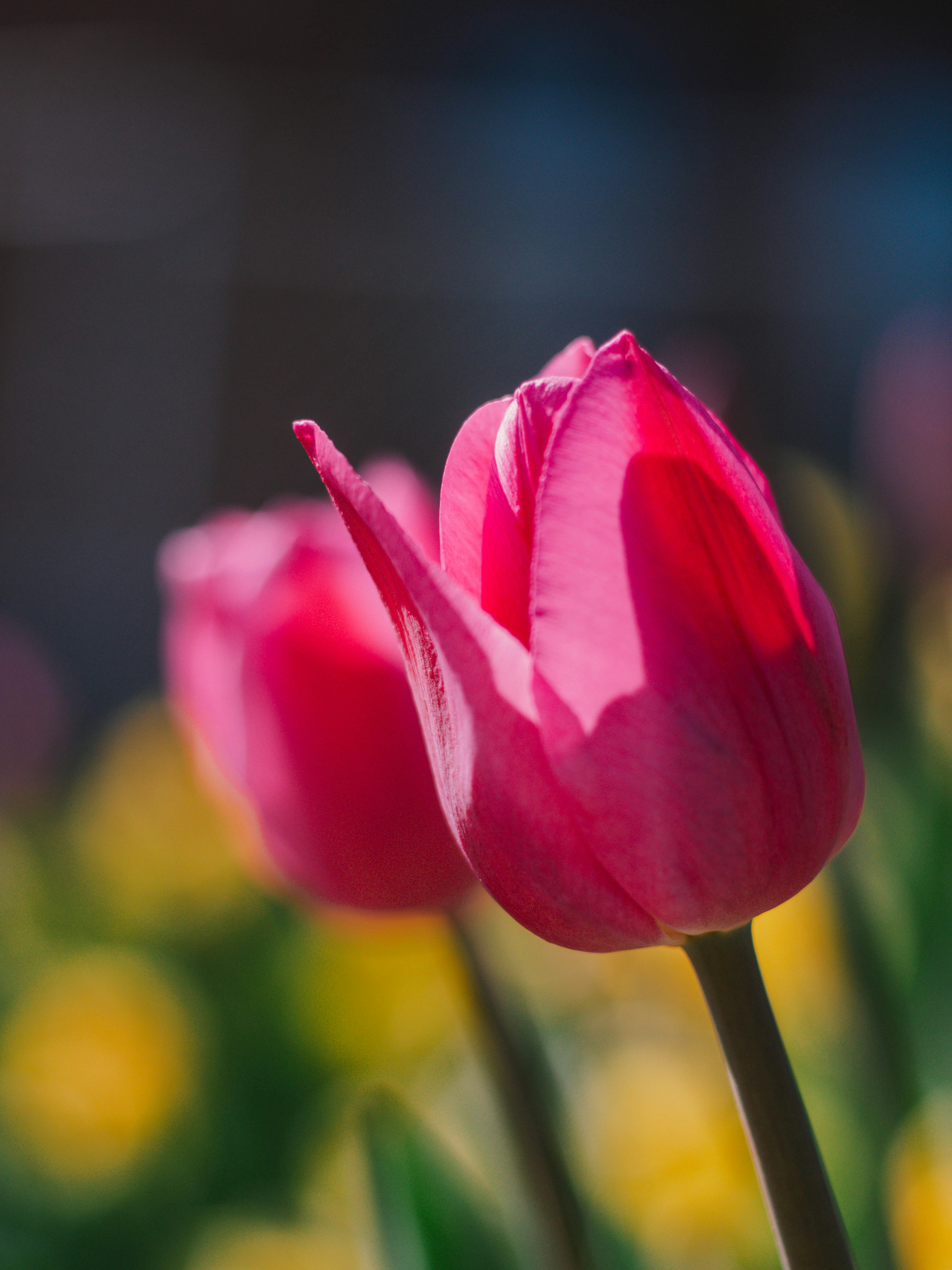 Photo by giobartlett