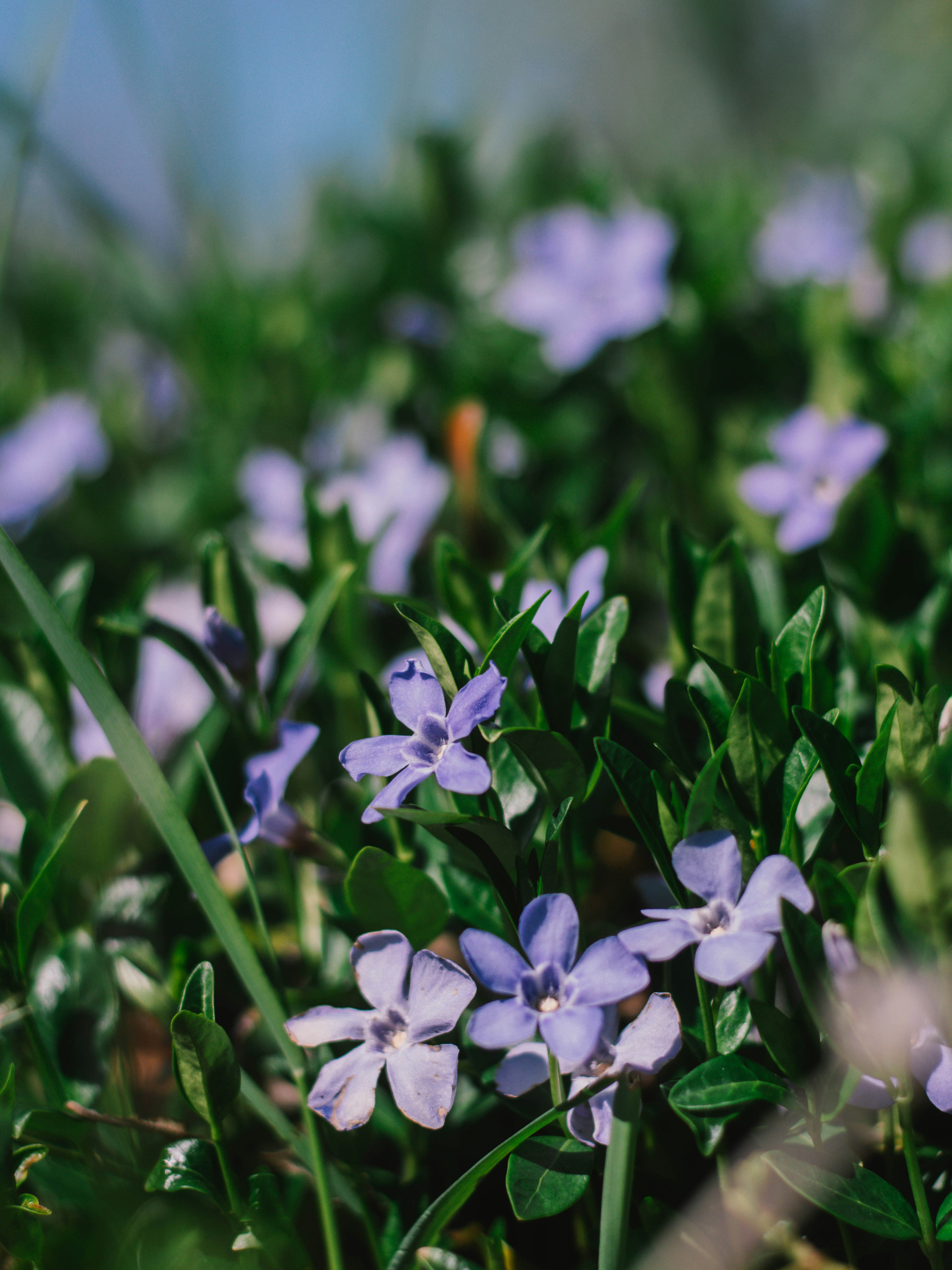 Photo by giobartlett