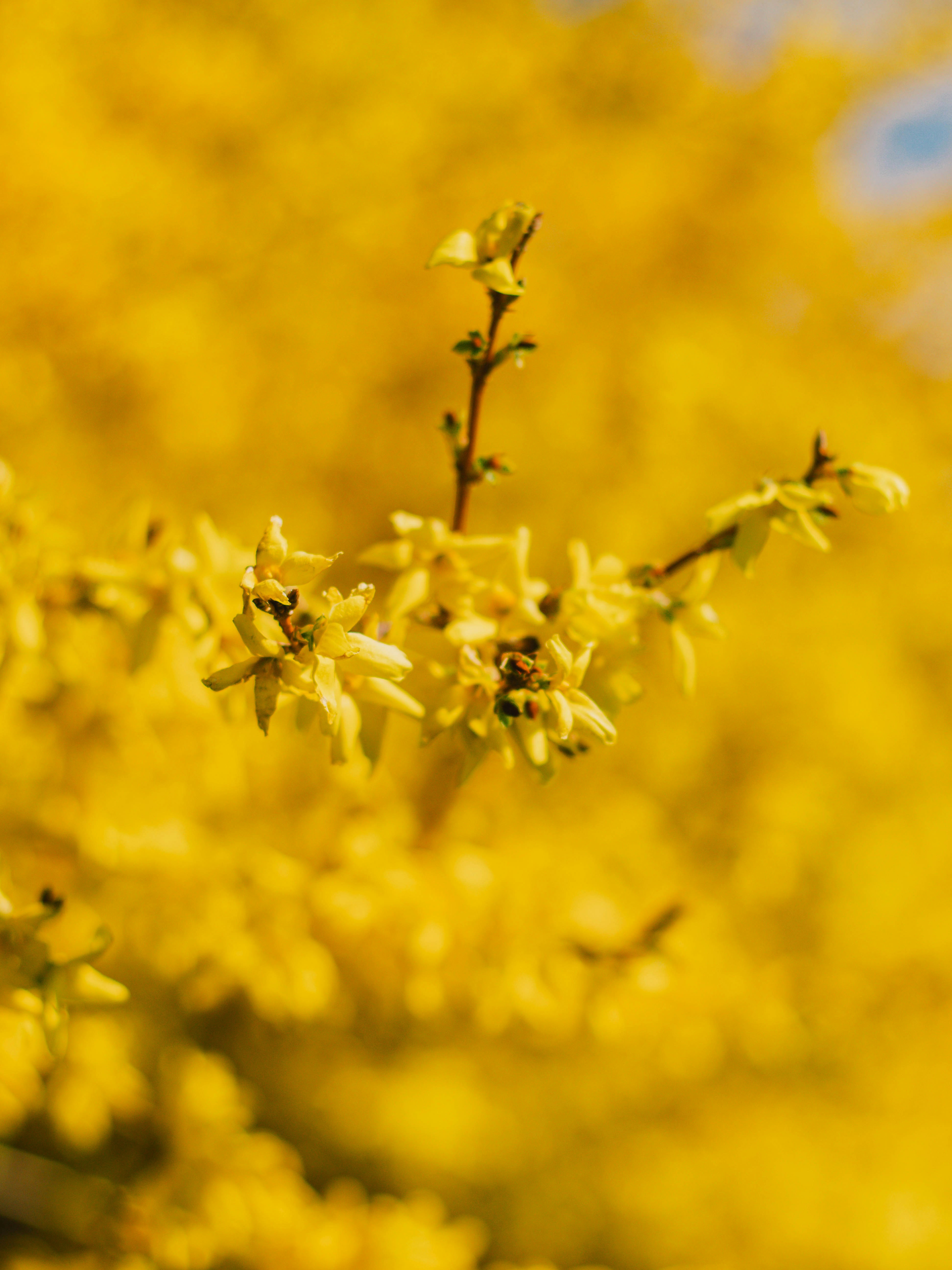 Photo by giobartlett