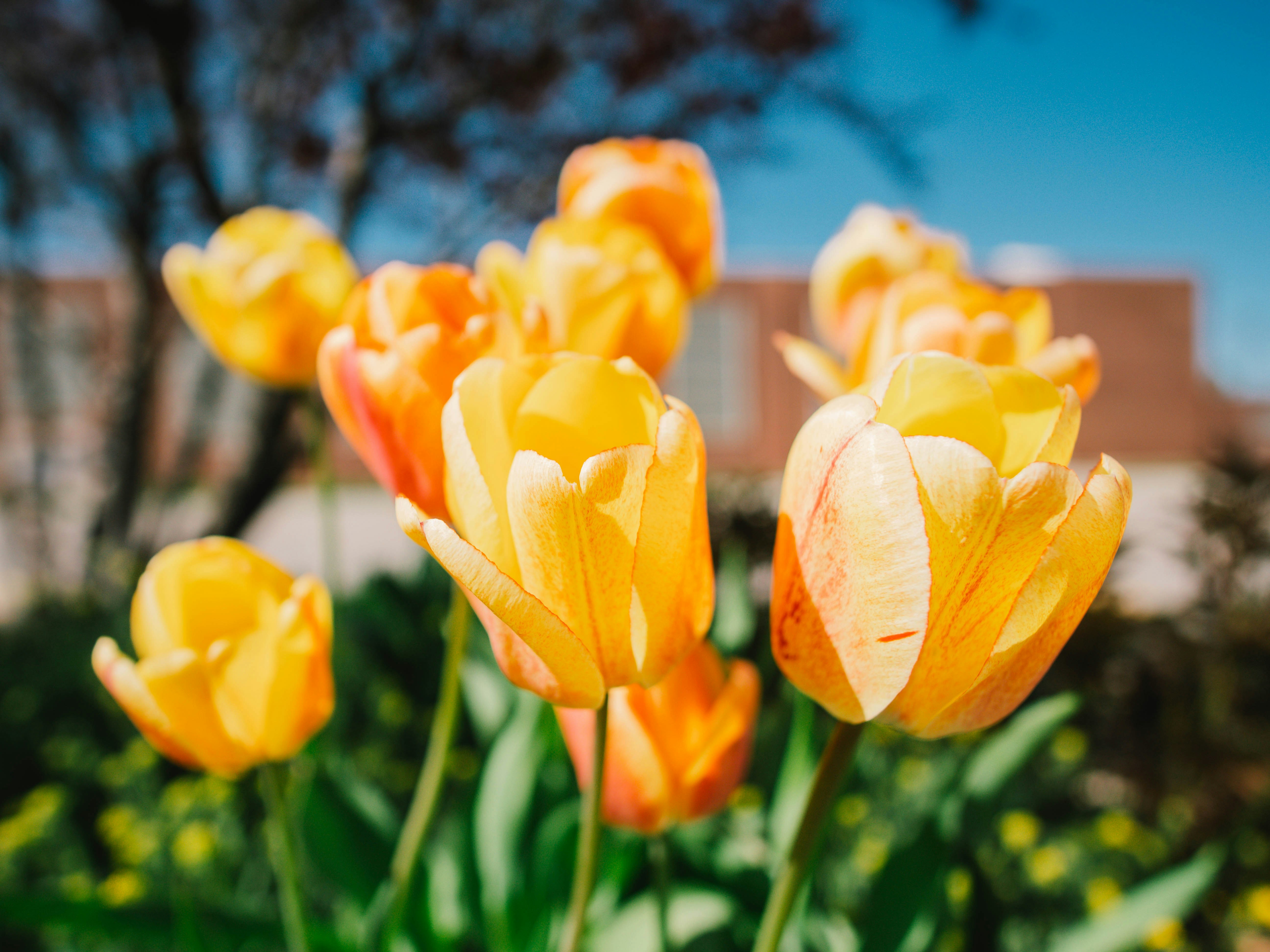 Photo by giobartlett