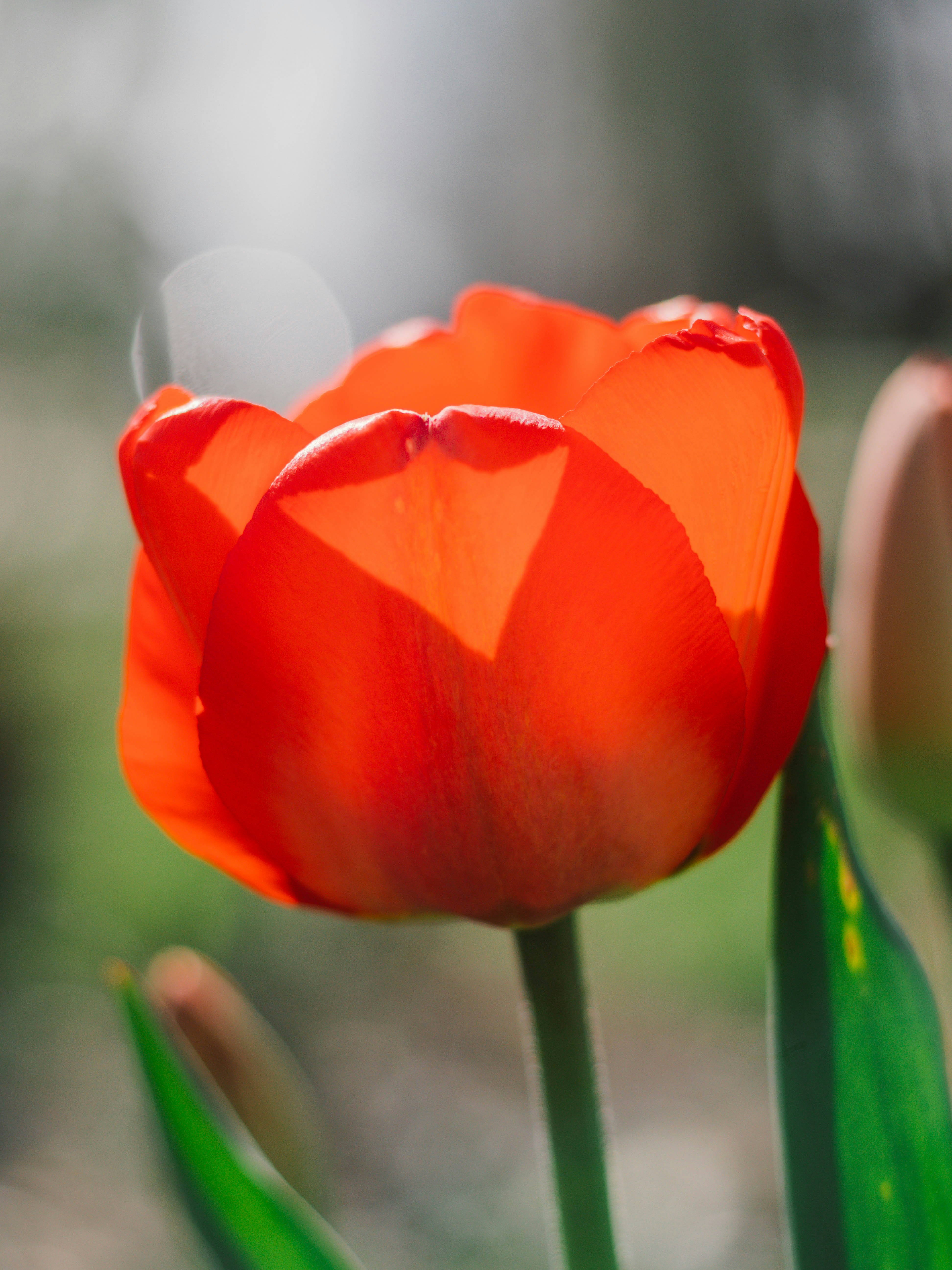 Photo by giobartlett