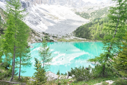 green trees near lake and snow covered mountains during daytime in Sorapiss Italy