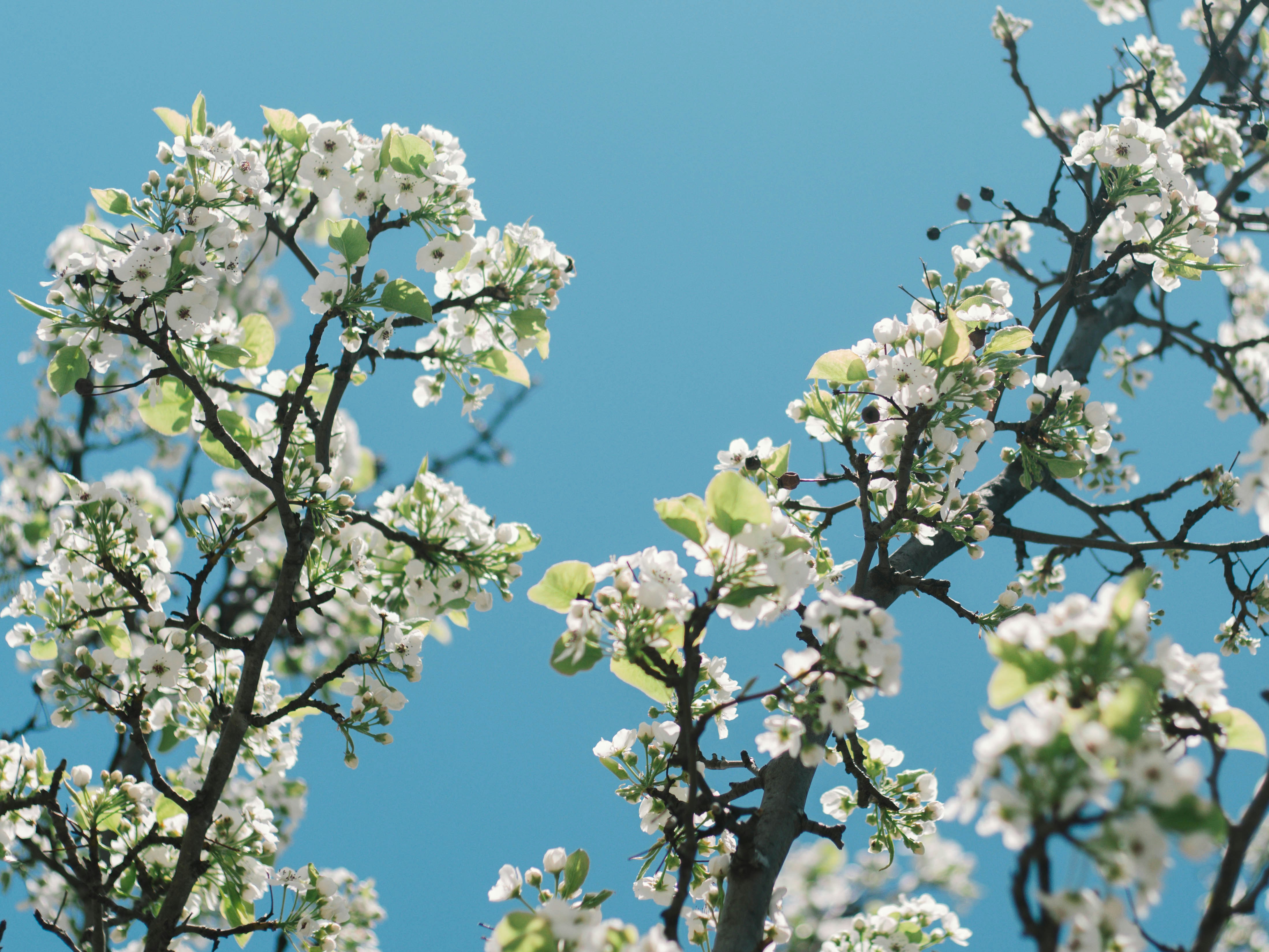 Photo by giobartlett